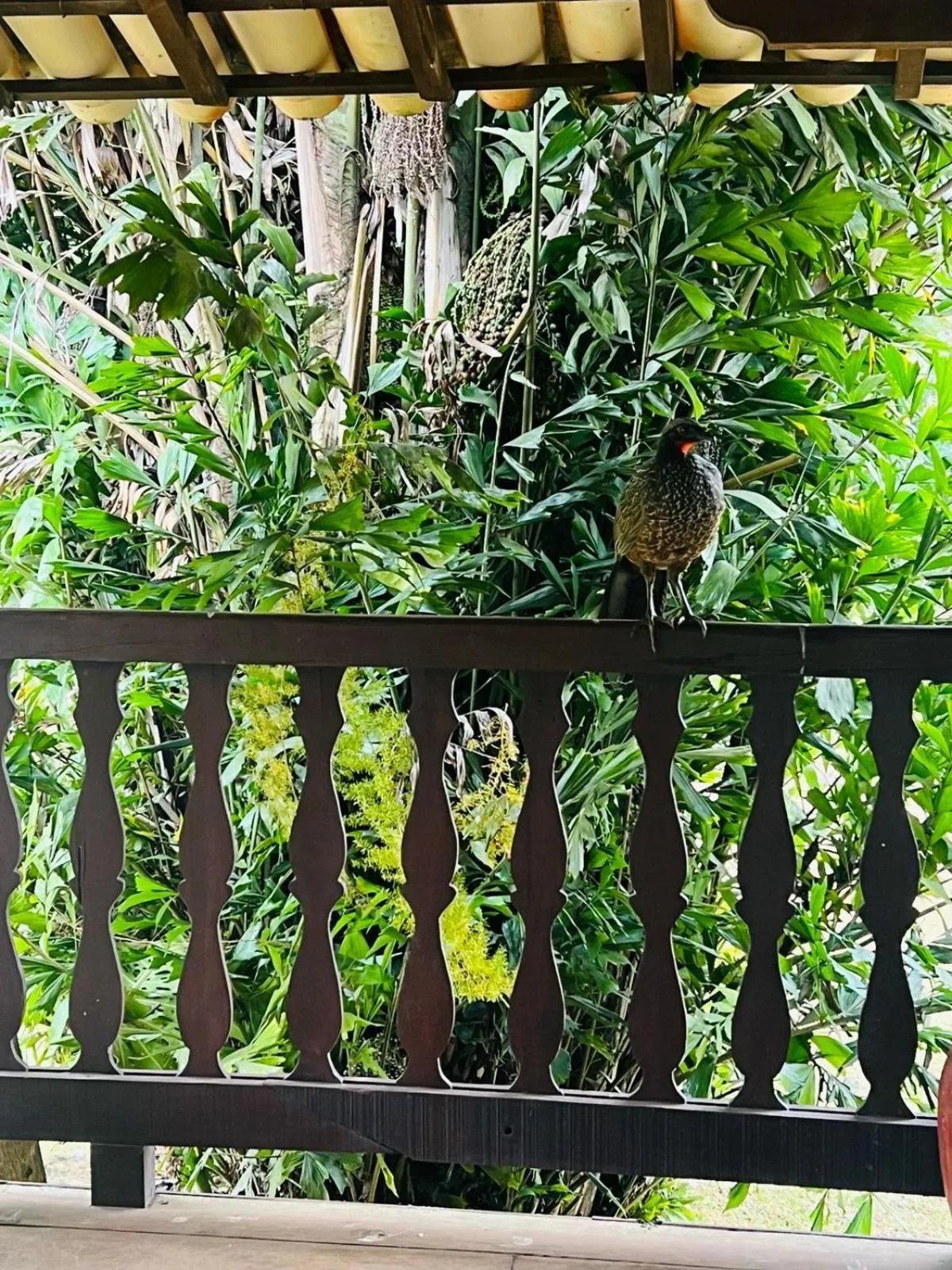 Pousada Candonga da Serra