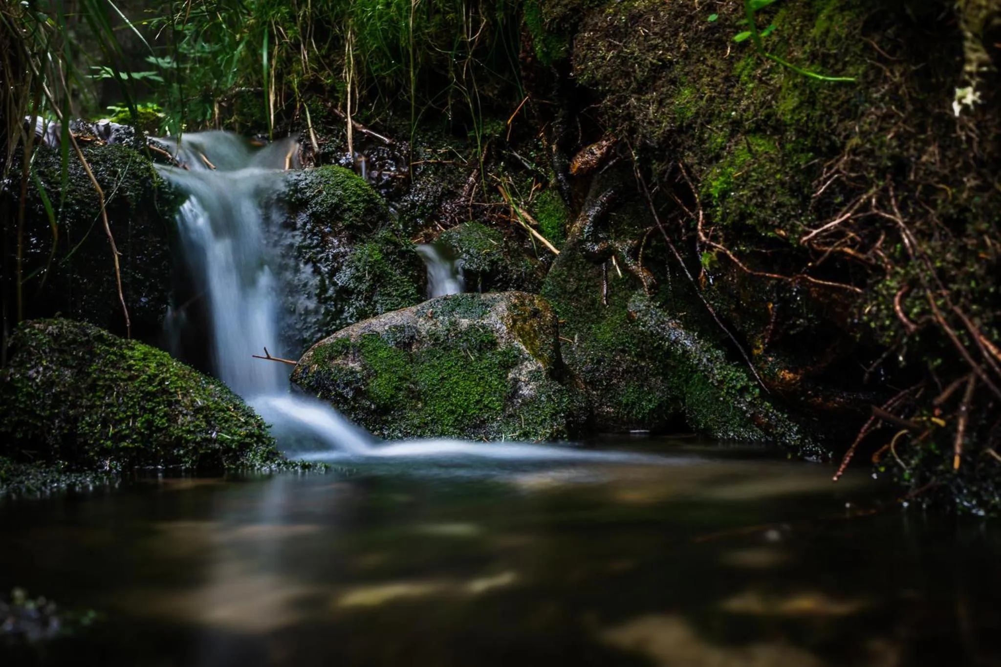 Natural landscape in Hotel Jasná