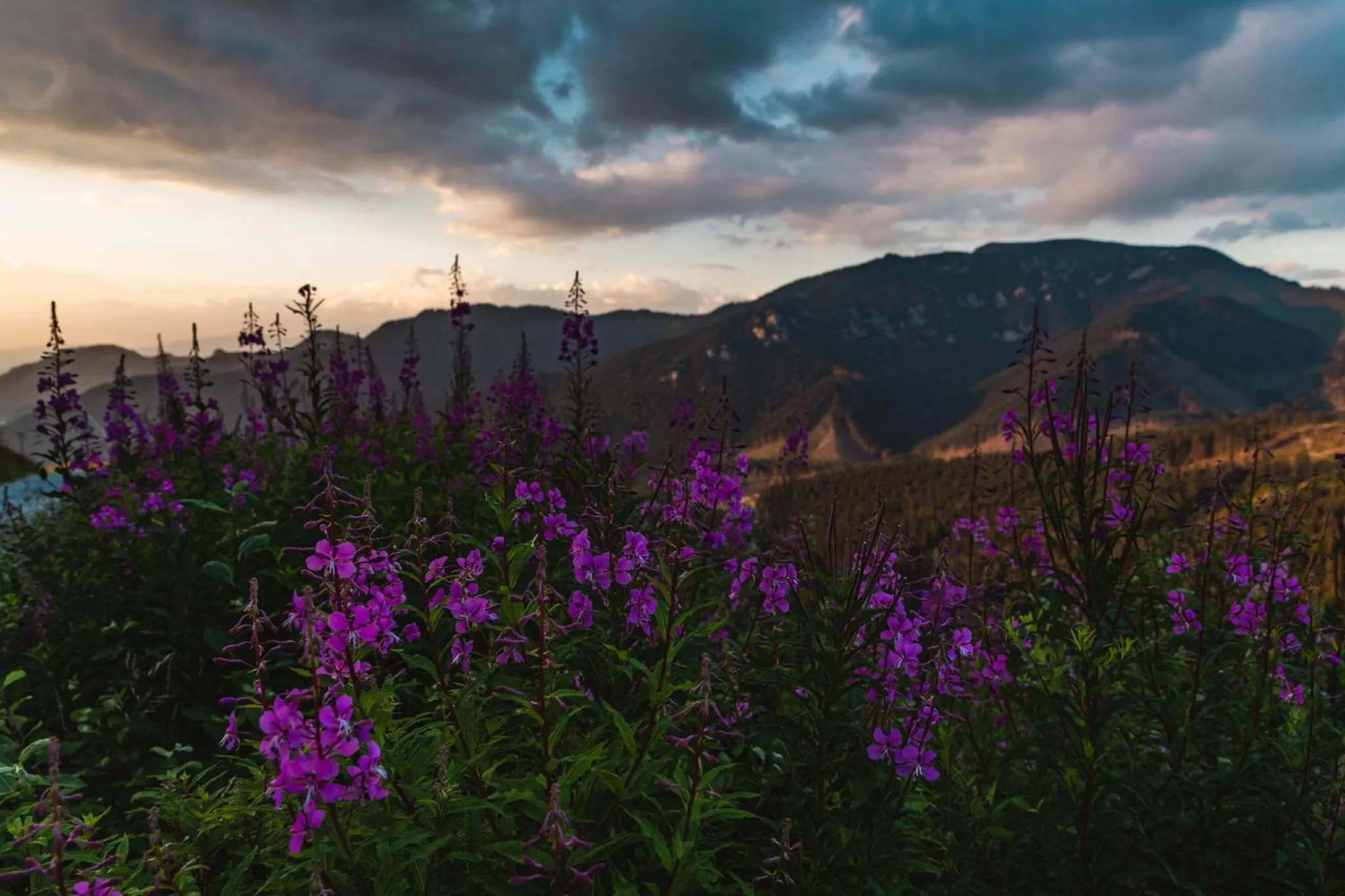 Natural landscape in Hotel Jasná