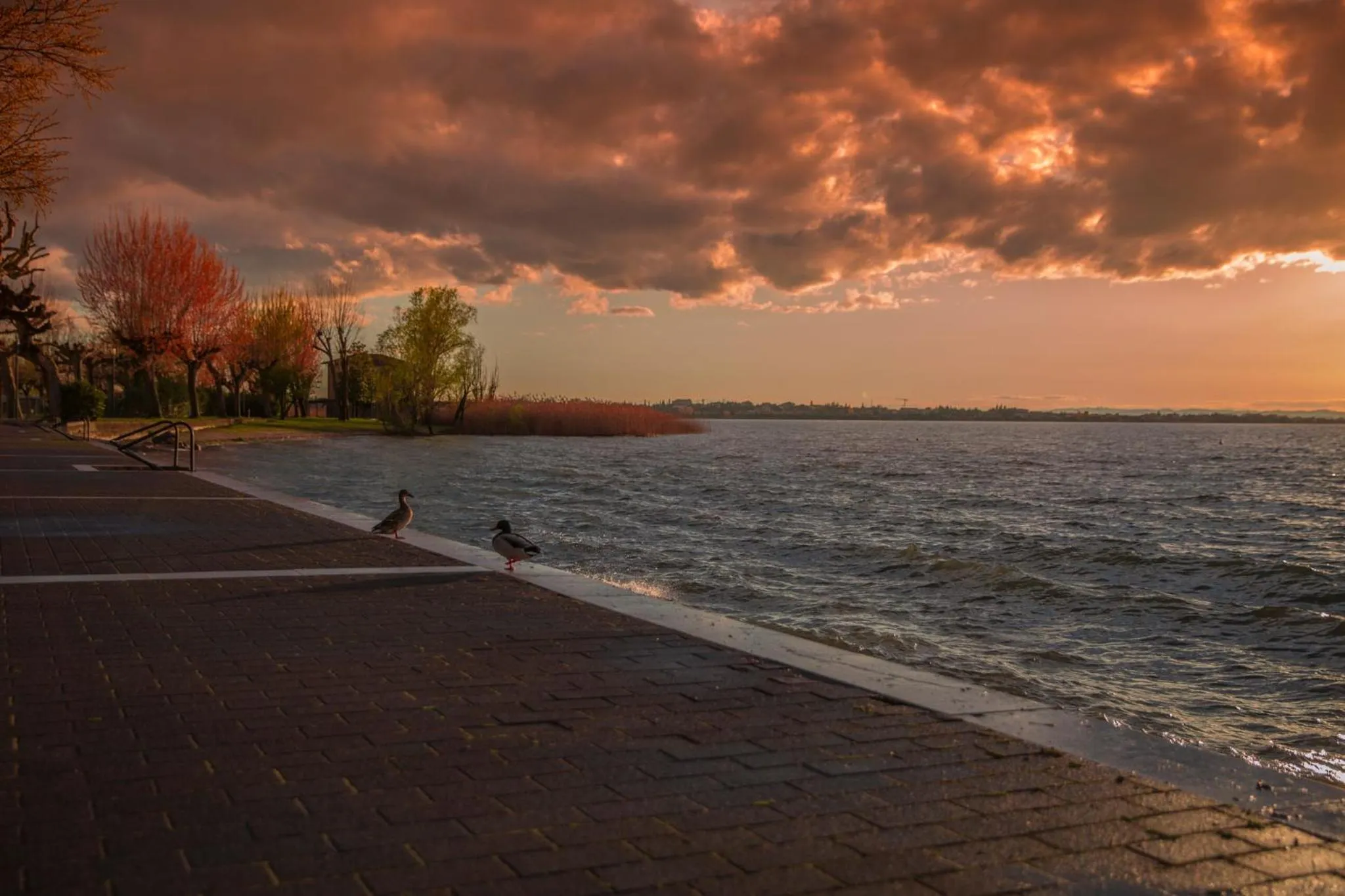 Natural landscape in Hotel Buena Onda