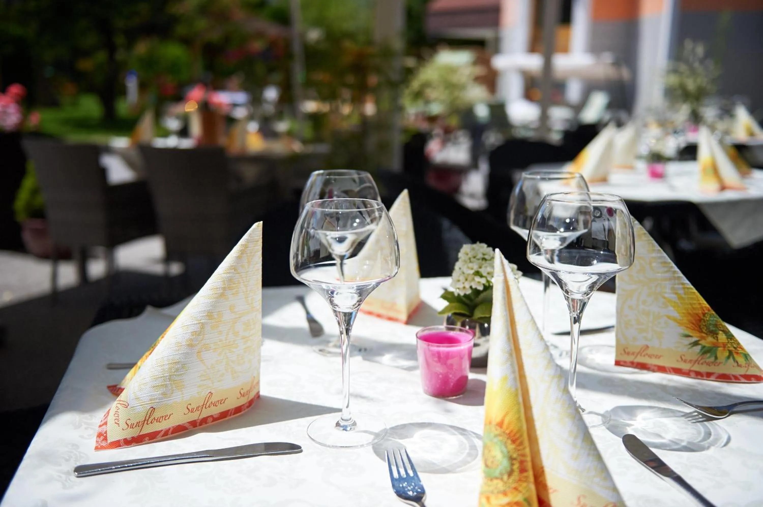 Hotel-Restaurant Schwaiger***