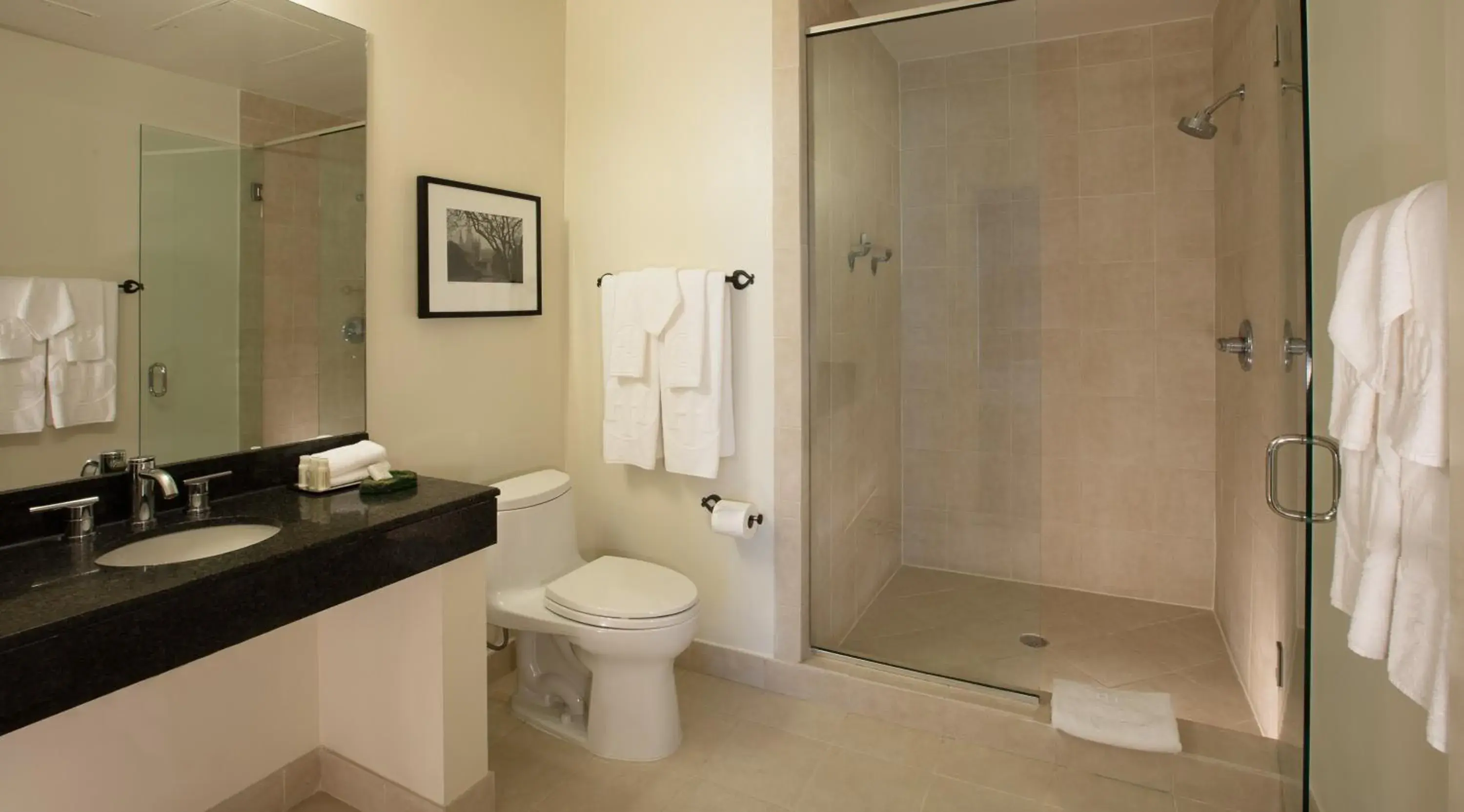 Deluxe King Room in International House Hotel Deluxe King Room in International House Hotel