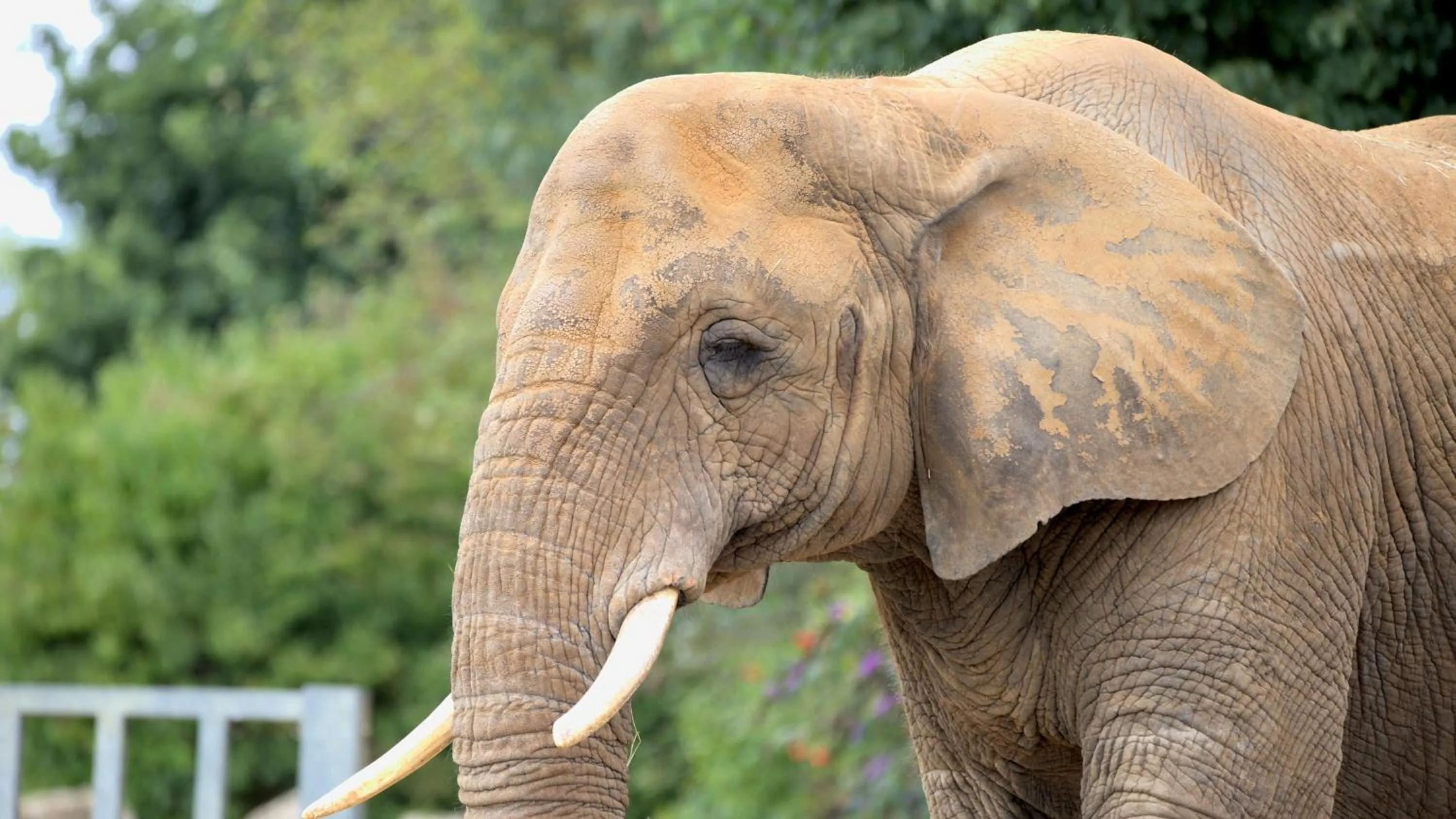 Nearby landmark in Holiday Inn Colchester by IHG