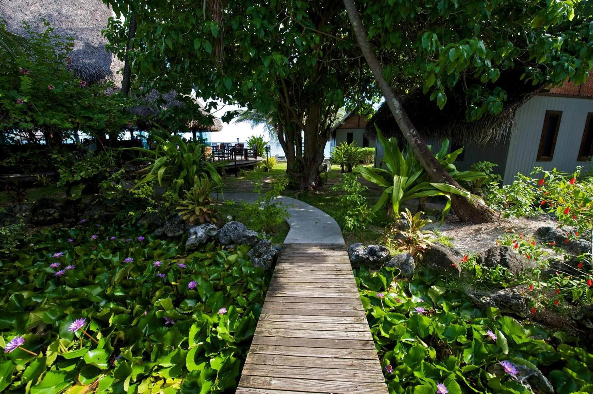 Garden in Maitai Rangiroa