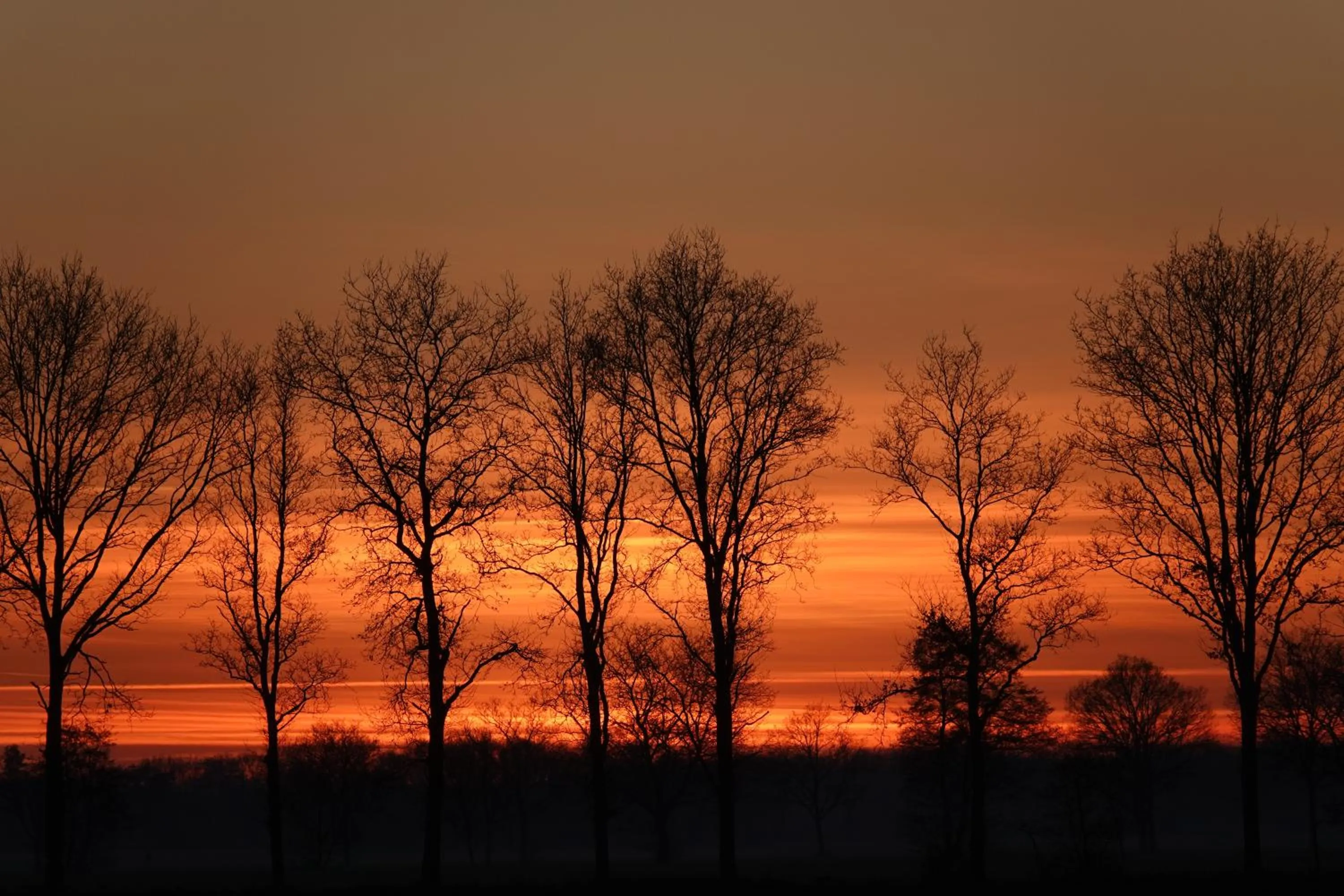 Area and facilities in B & B Janneke Elsloo Friesland