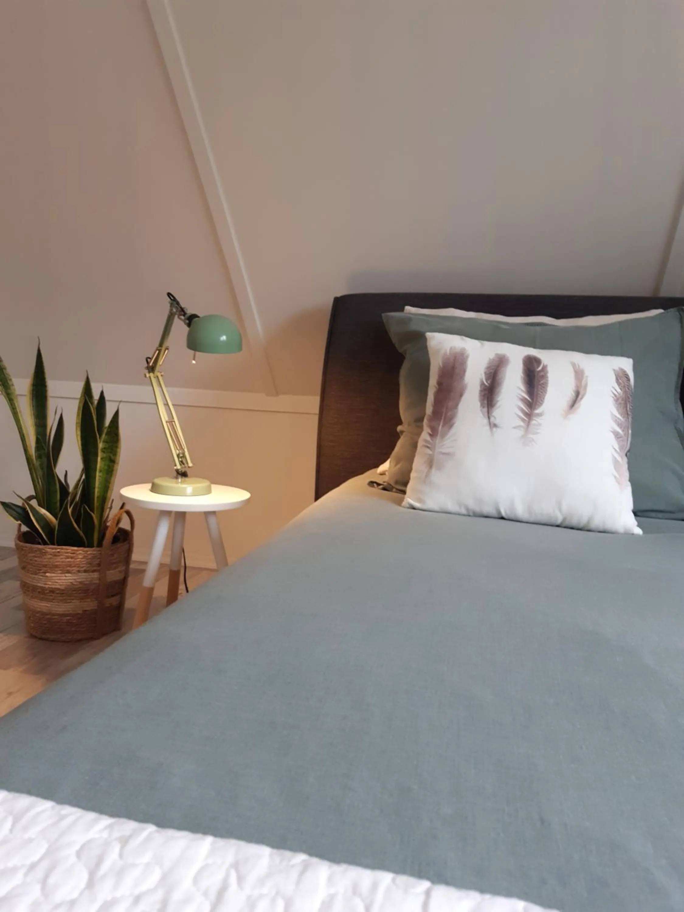 Bed in B & B Janneke Elsloo Friesland