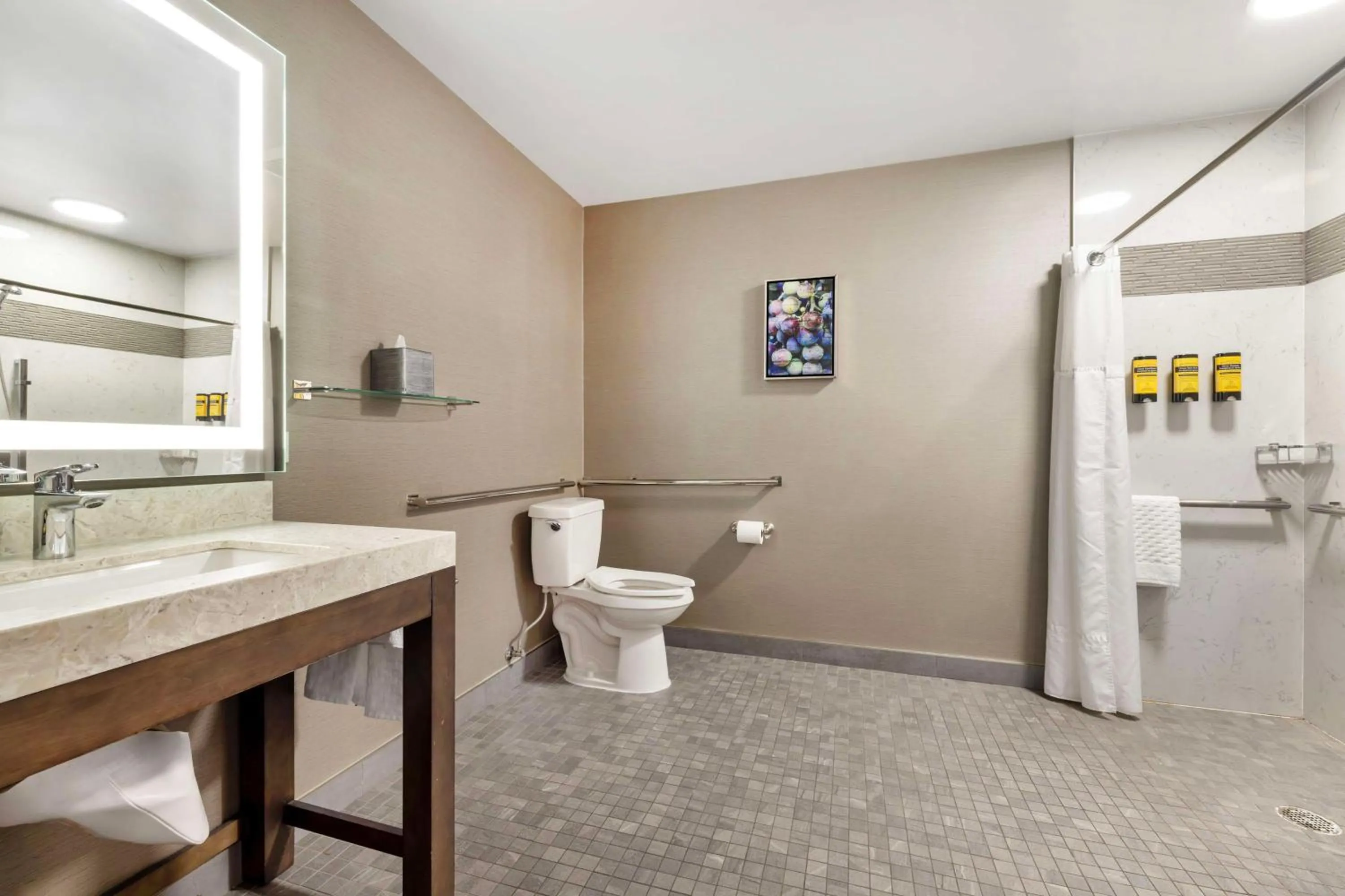 Bathroom in Best Western Plus Temecula Wine Country Hotel & Suites