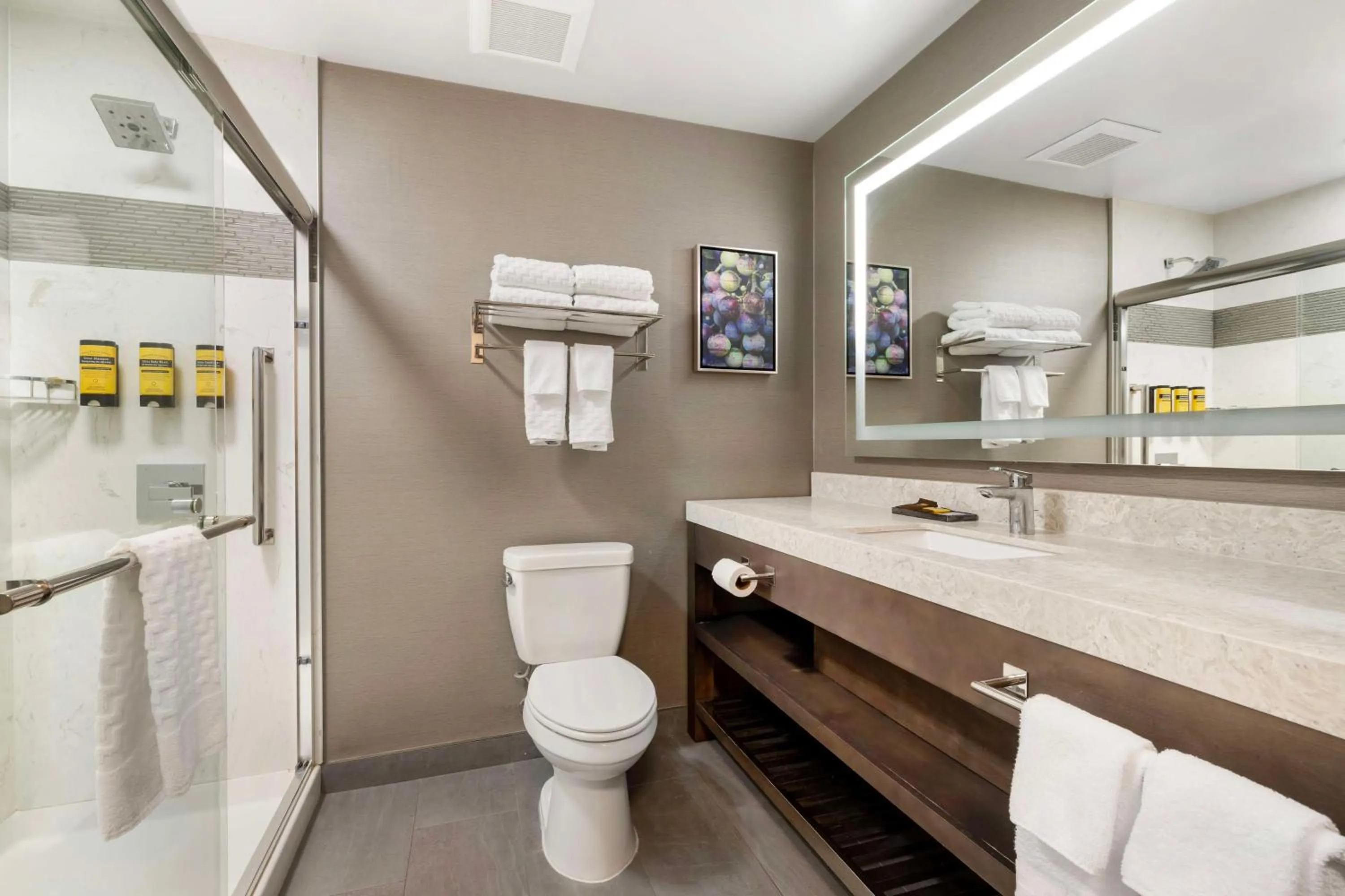 Bathroom in Best Western Plus Temecula Wine Country Hotel & Suites