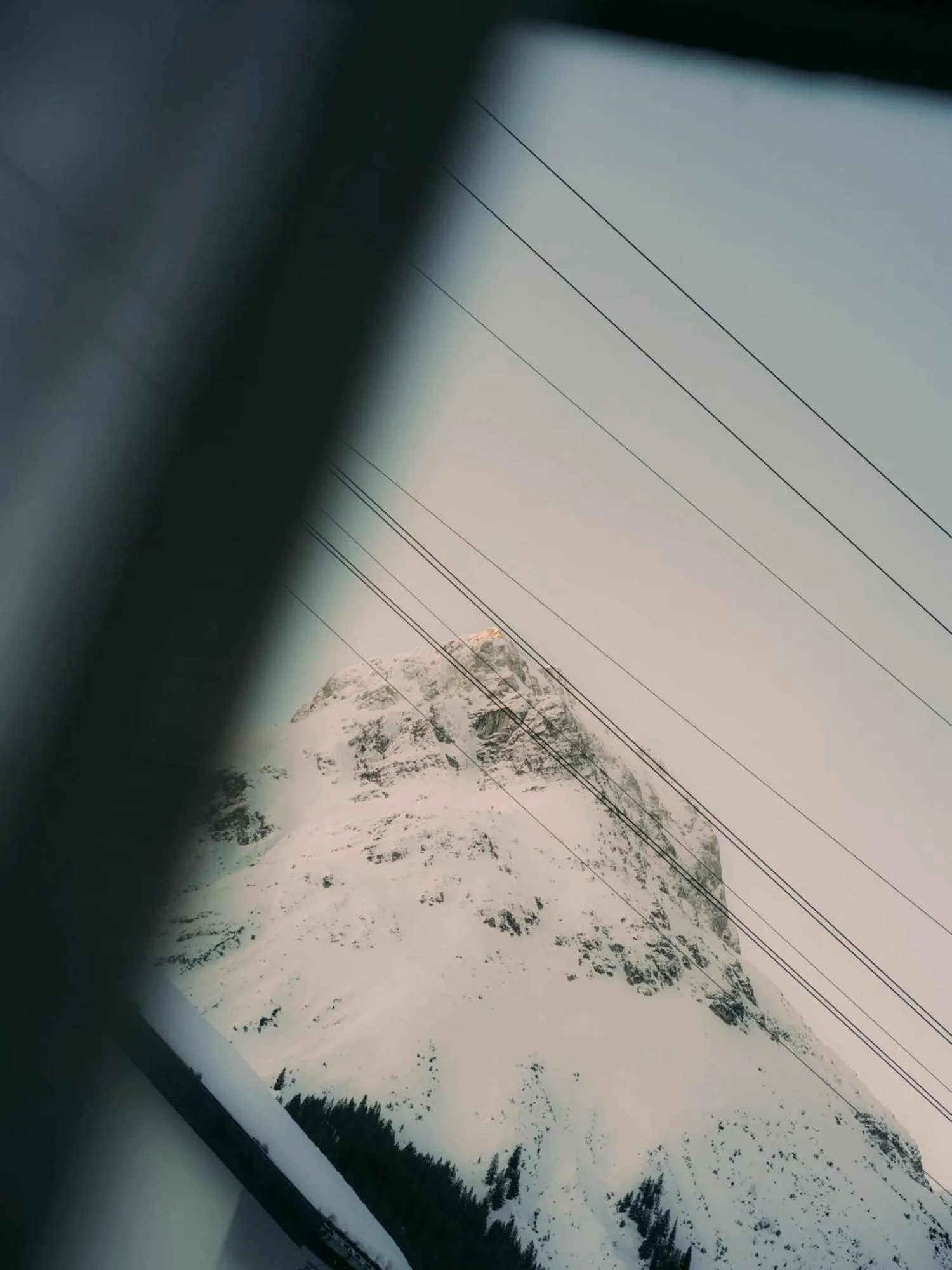 View (from property/room) in Hotel Schwarzwand