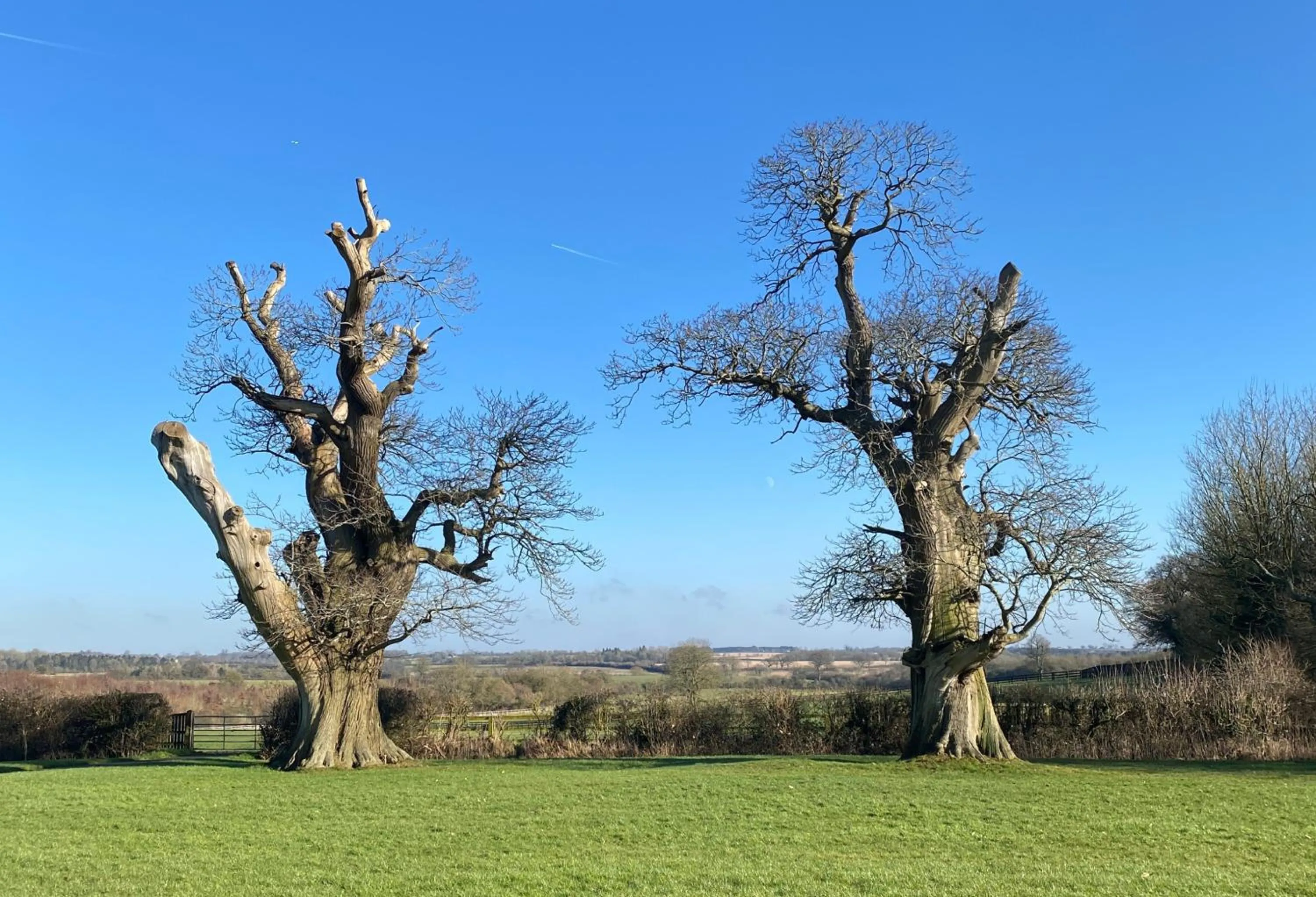 Natural landscape in Pettifers Freehouse Hotel