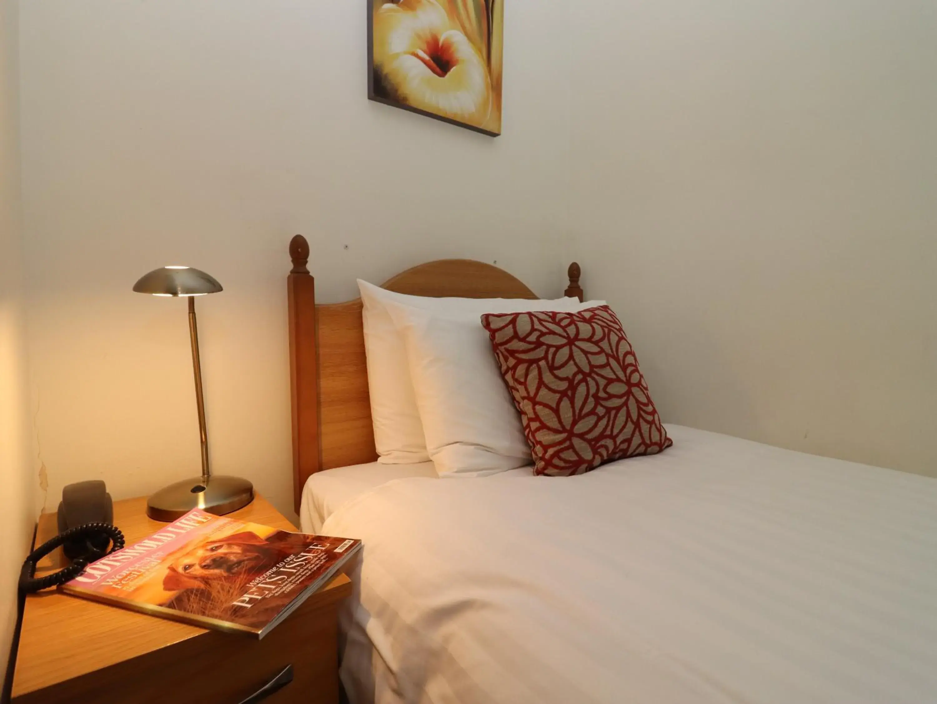 Standard Single Room in Pettifers Freehouse Hotel Standard Single Room in Pettifers Freehouse Hotel