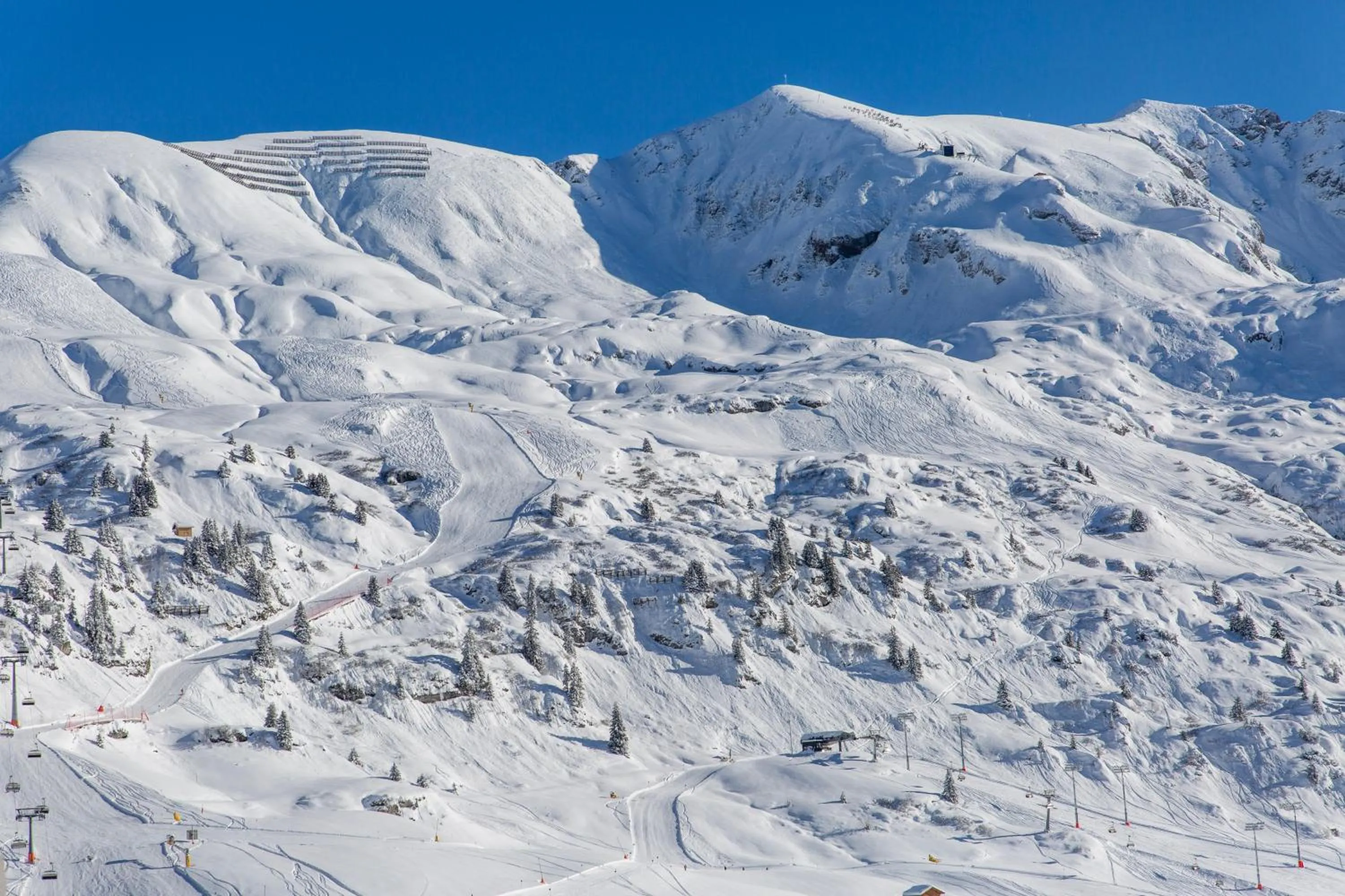 Natural landscape in Hotel Ulli