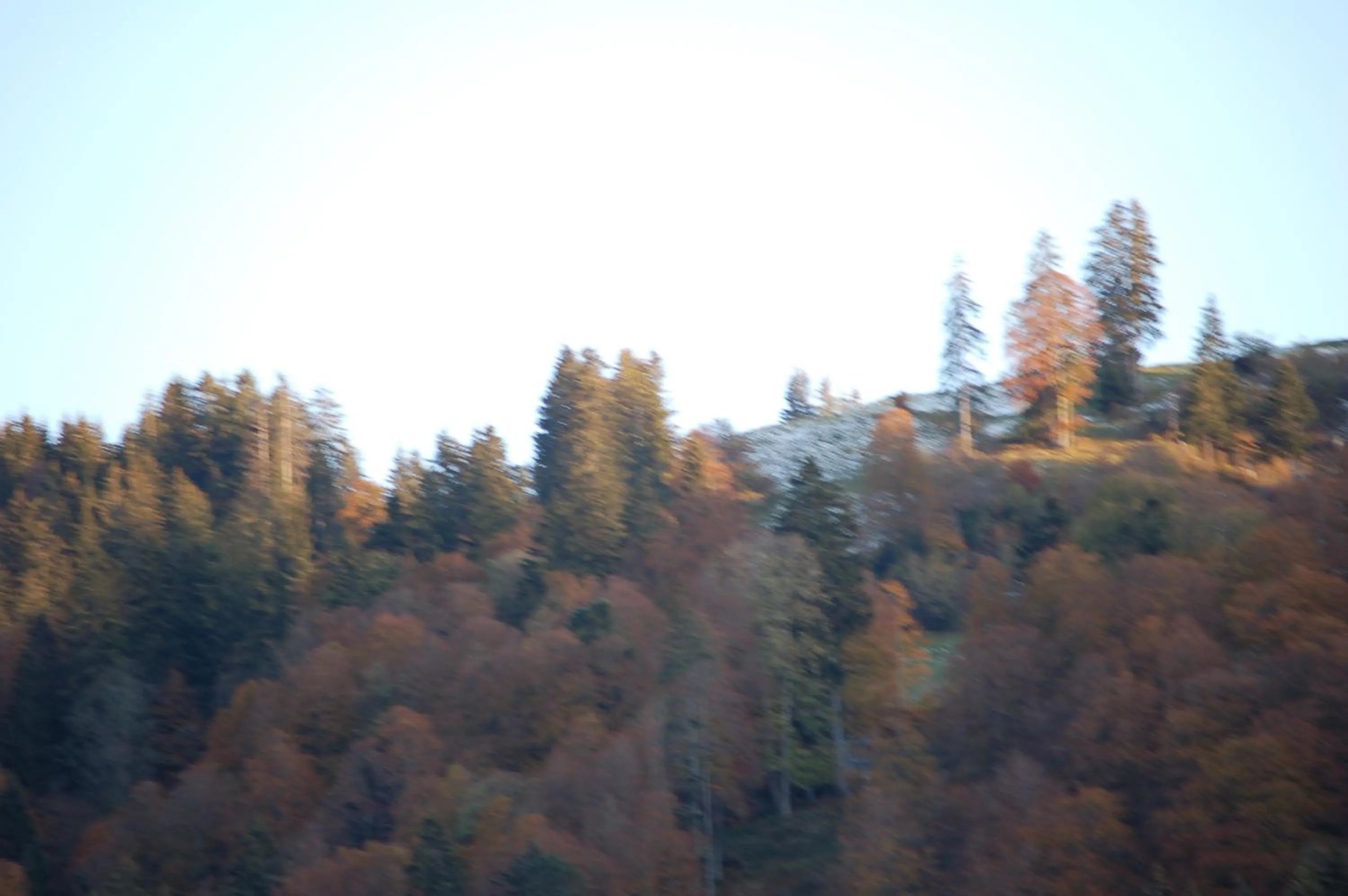 Natural landscape in Gasthaus Schäfli