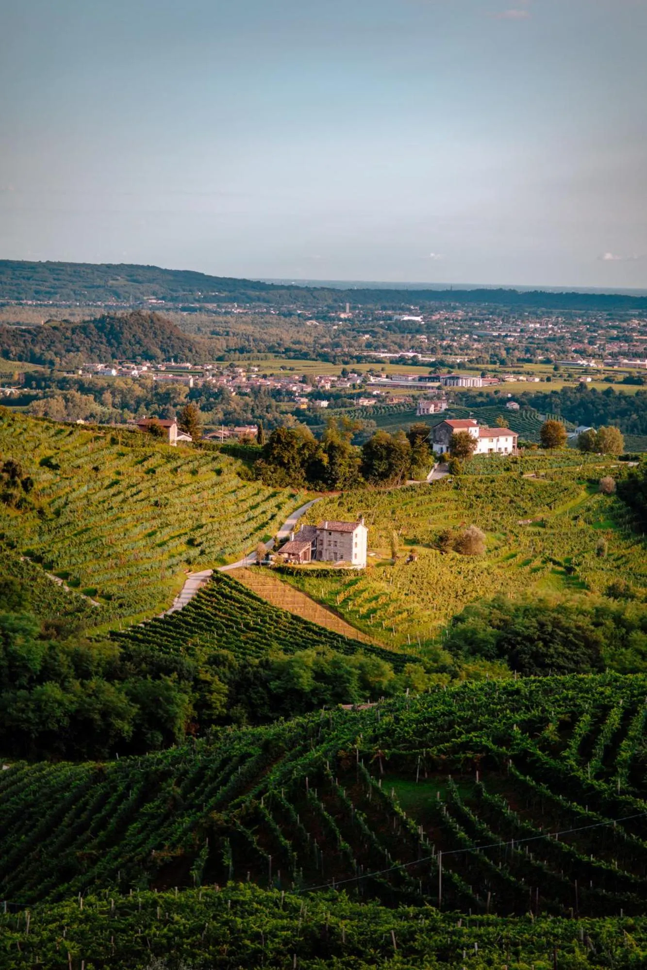 View (from property/room) in Boutique Hotel Municipio 1815