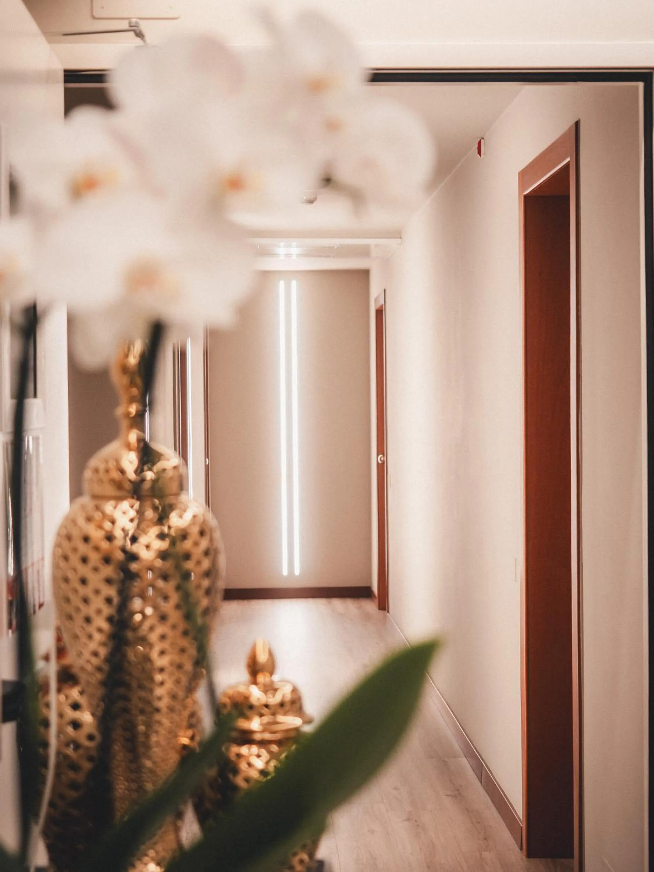 Decorative detail in Boutique Hotel Municipio 1815