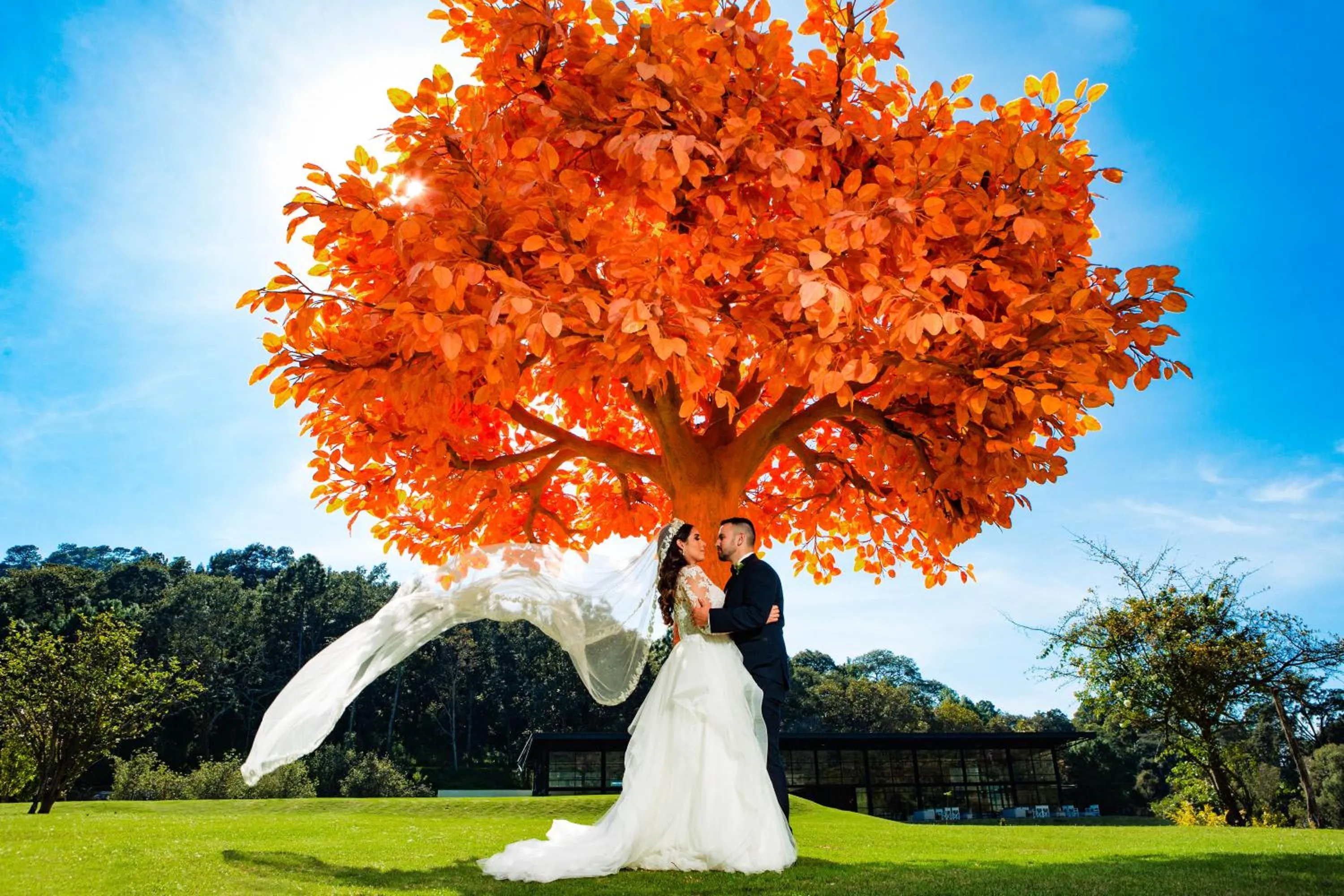 wedding in Sierra Lago