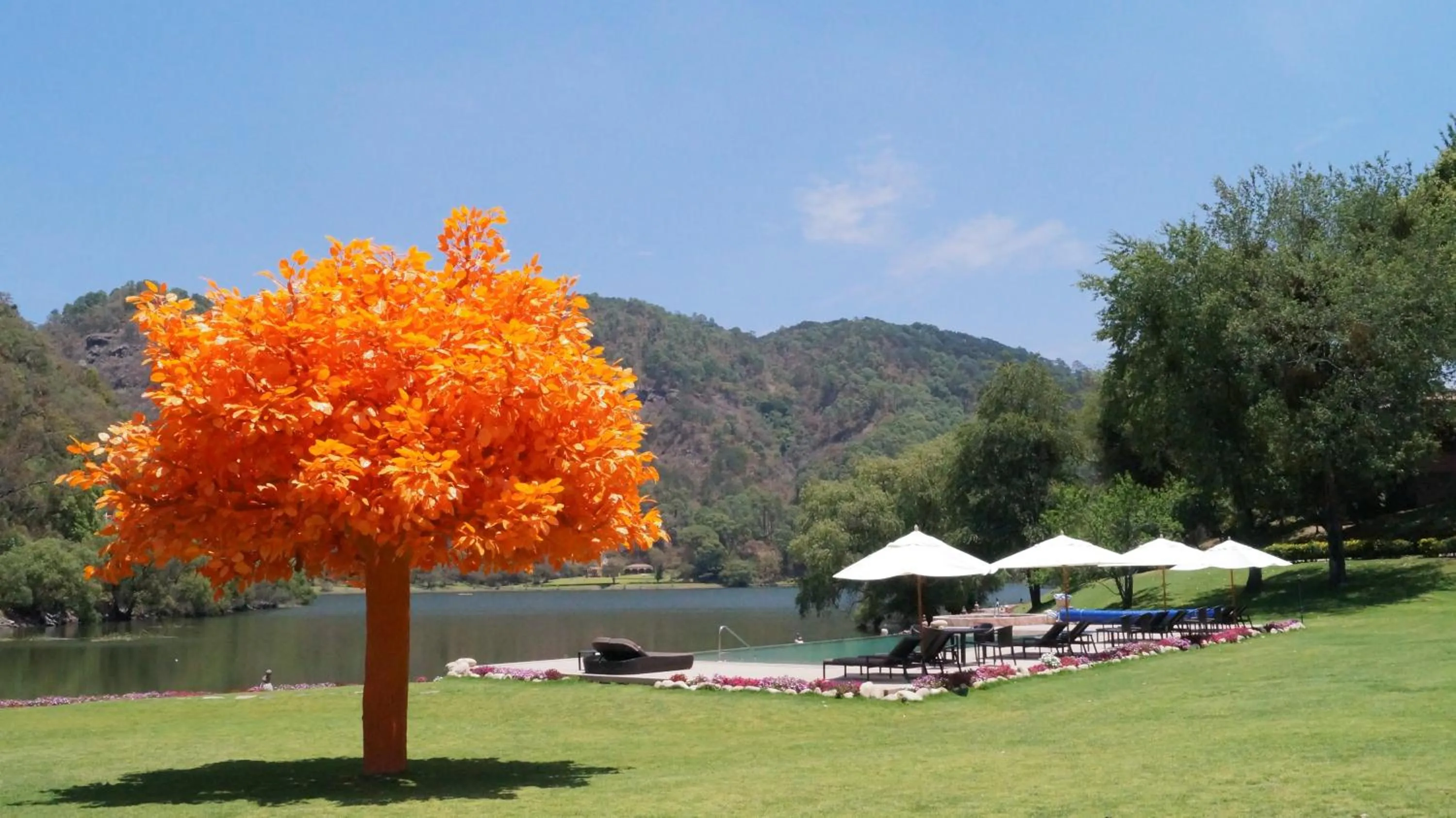 Garden in Sierra Lago