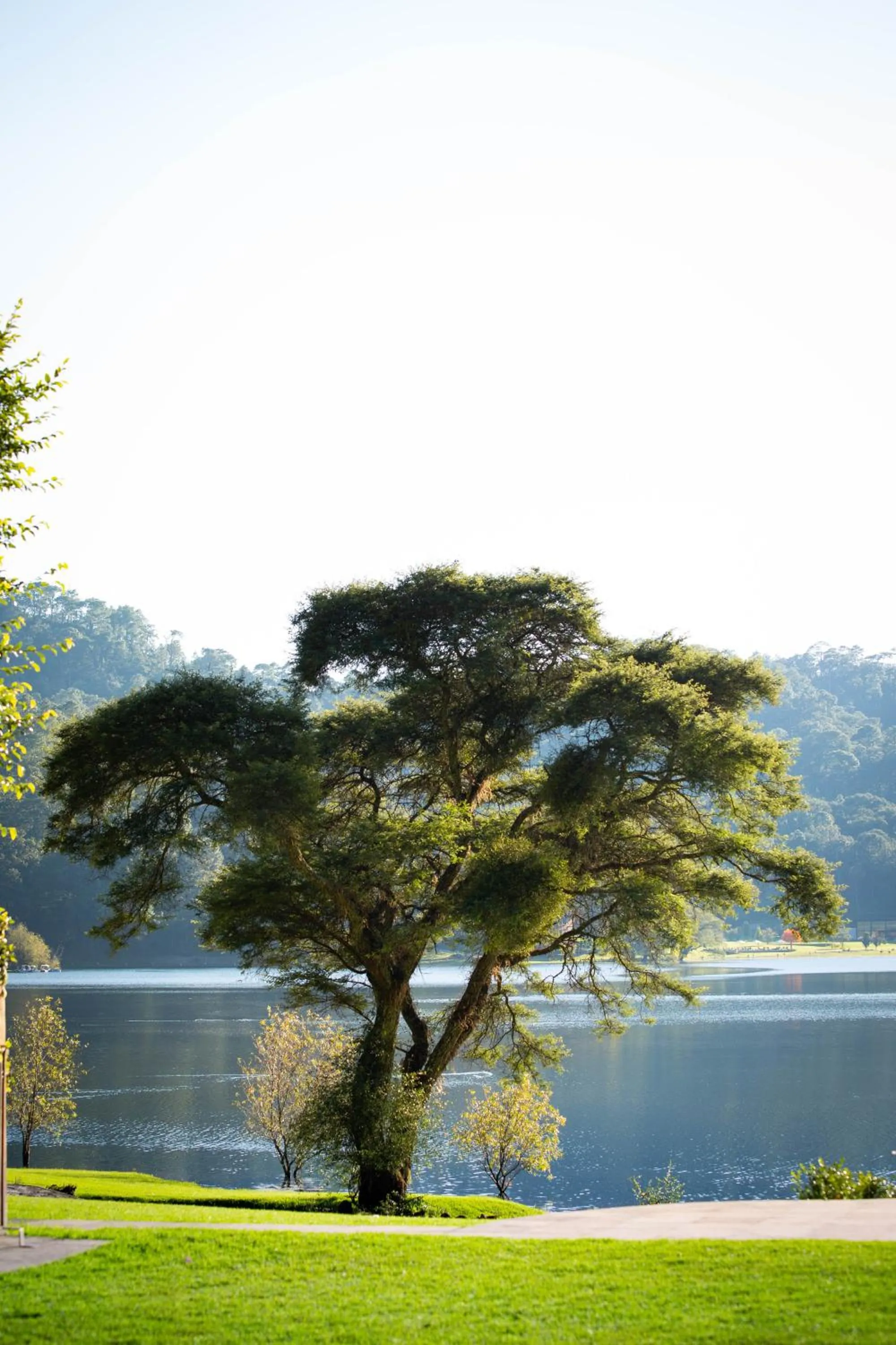 Natural landscape in Sierra Lago