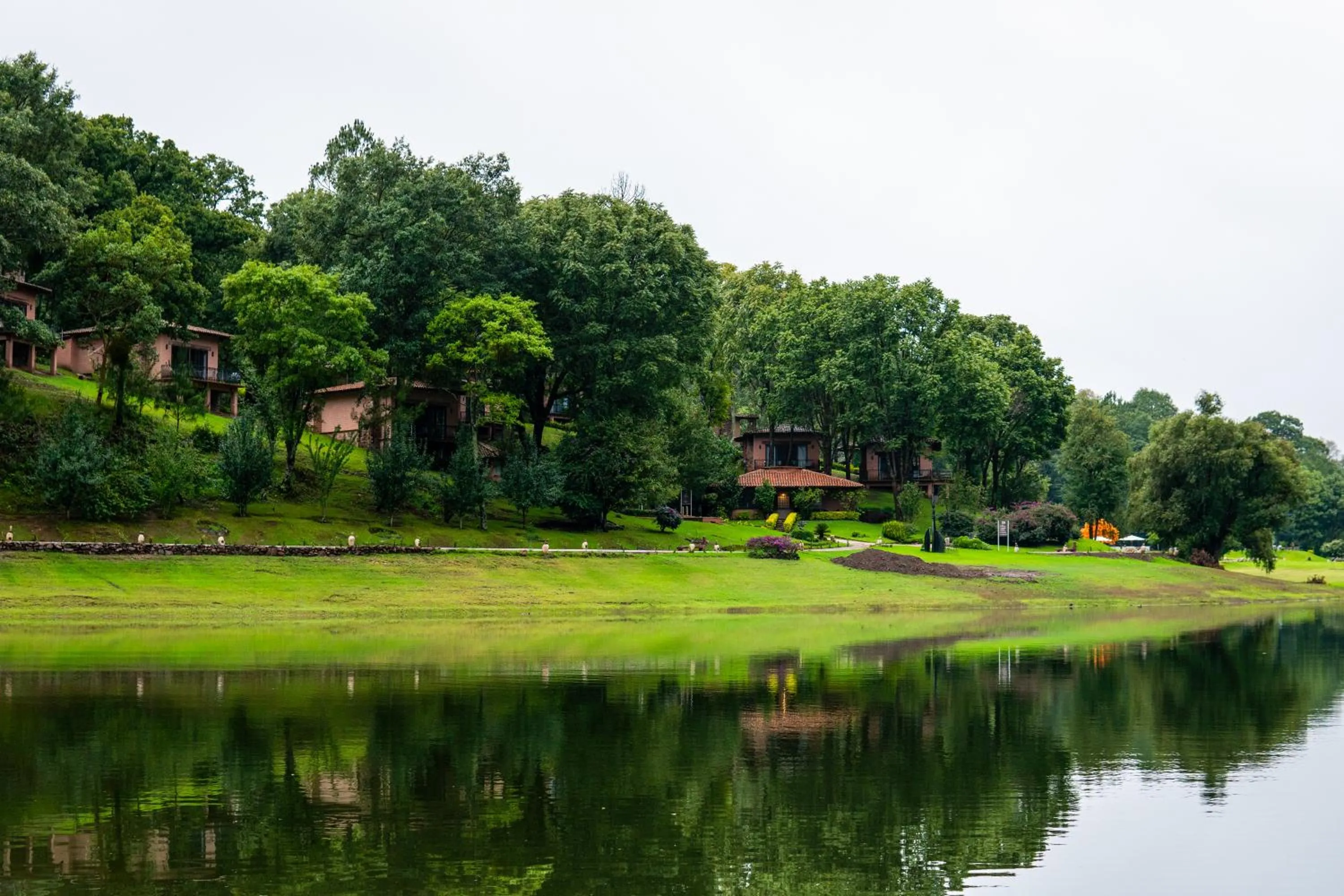 Natural landscape in Sierra Lago