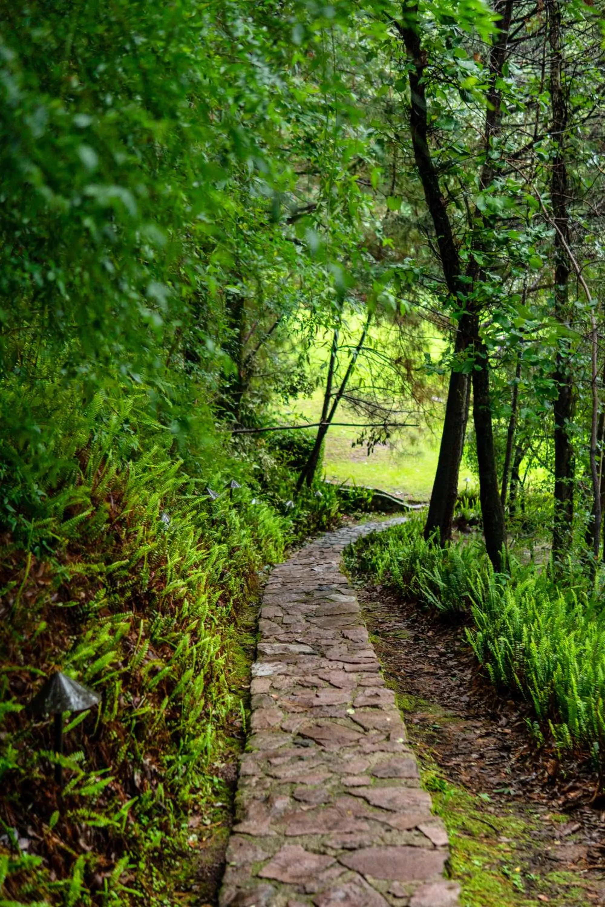 Garden in Sierra Lago