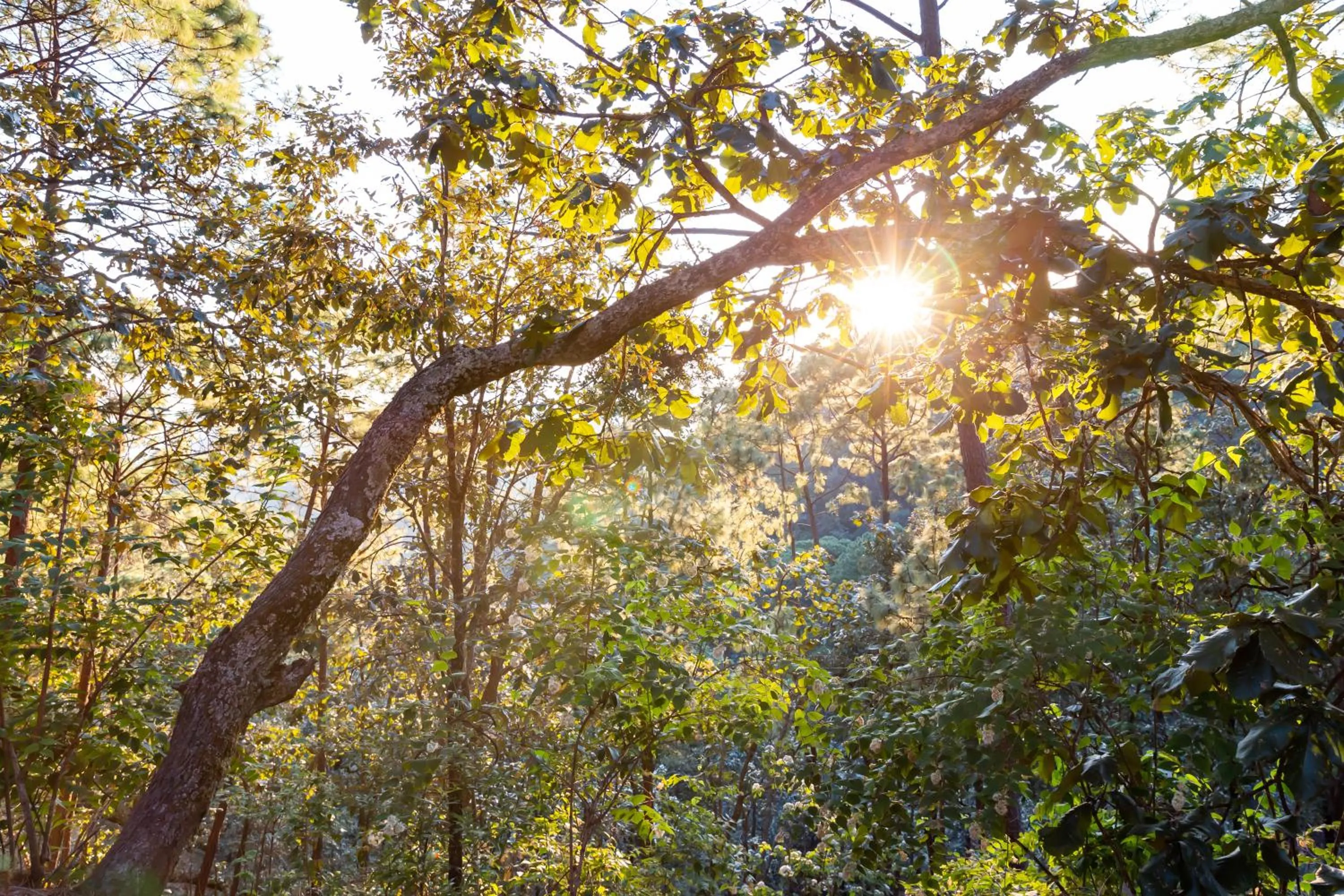 Natural landscape in Sierra Lago