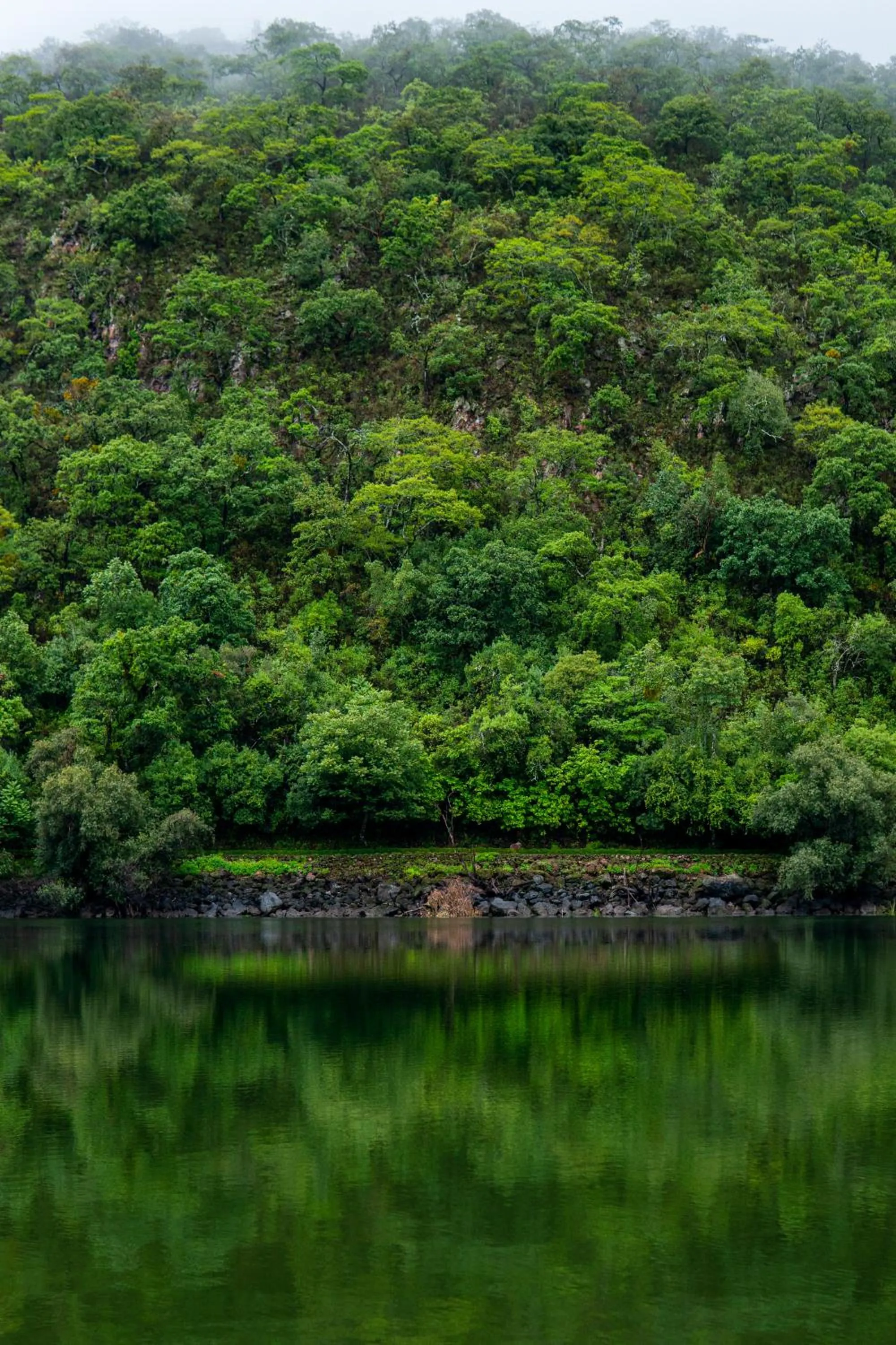 Natural landscape in Sierra Lago