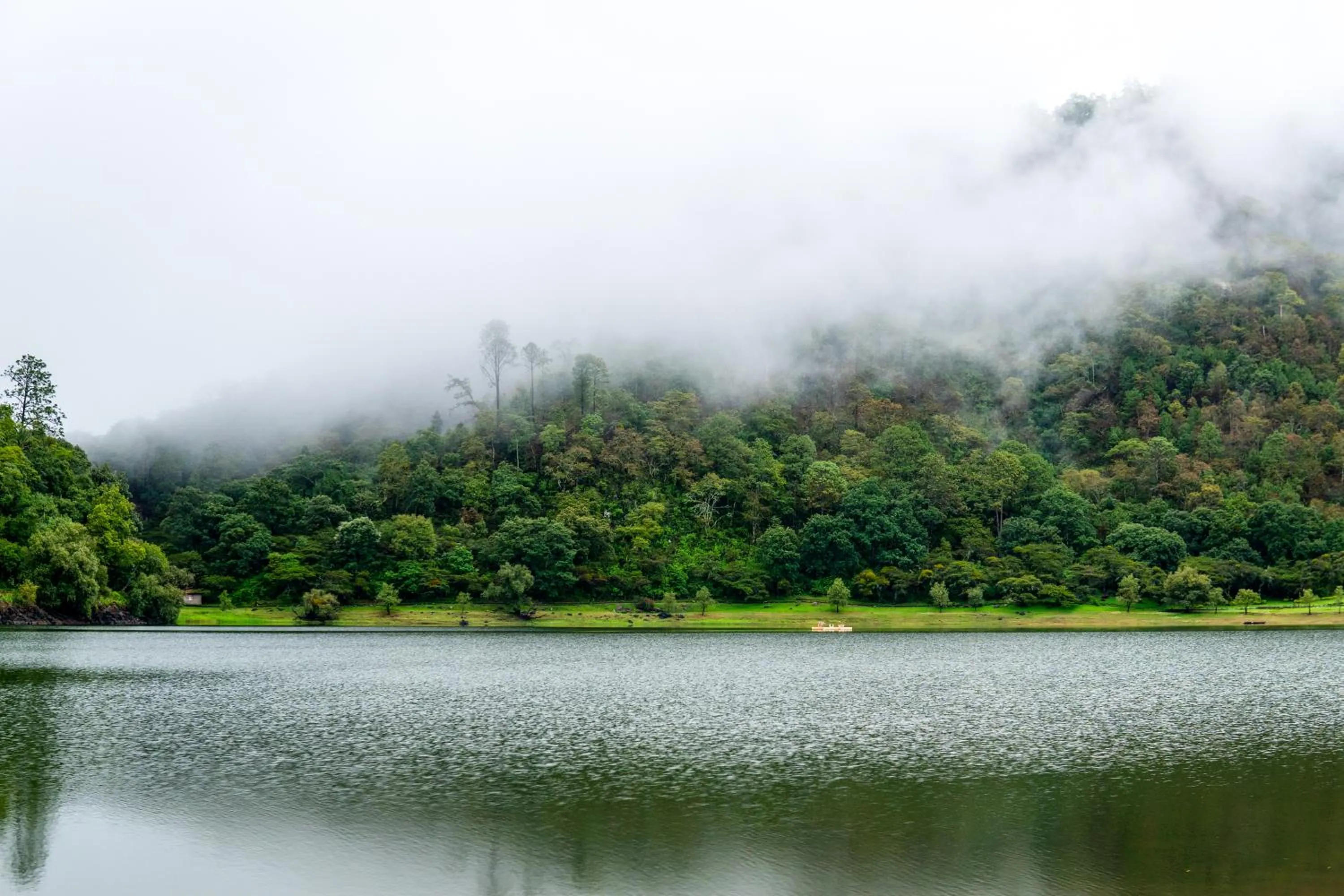 Natural landscape in Sierra Lago