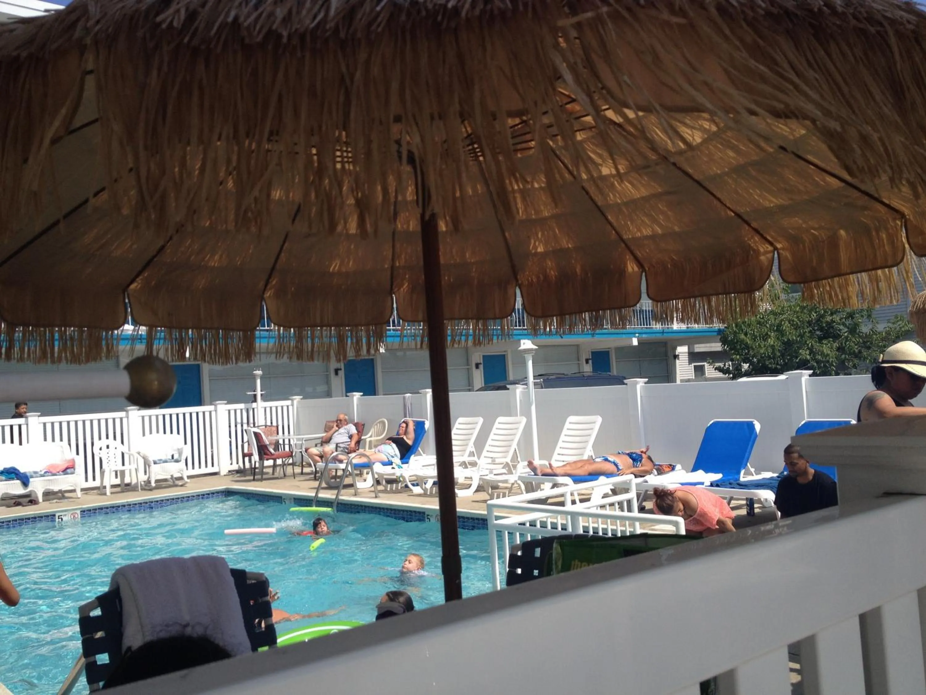 Pool view in Bird of Paradise Motel