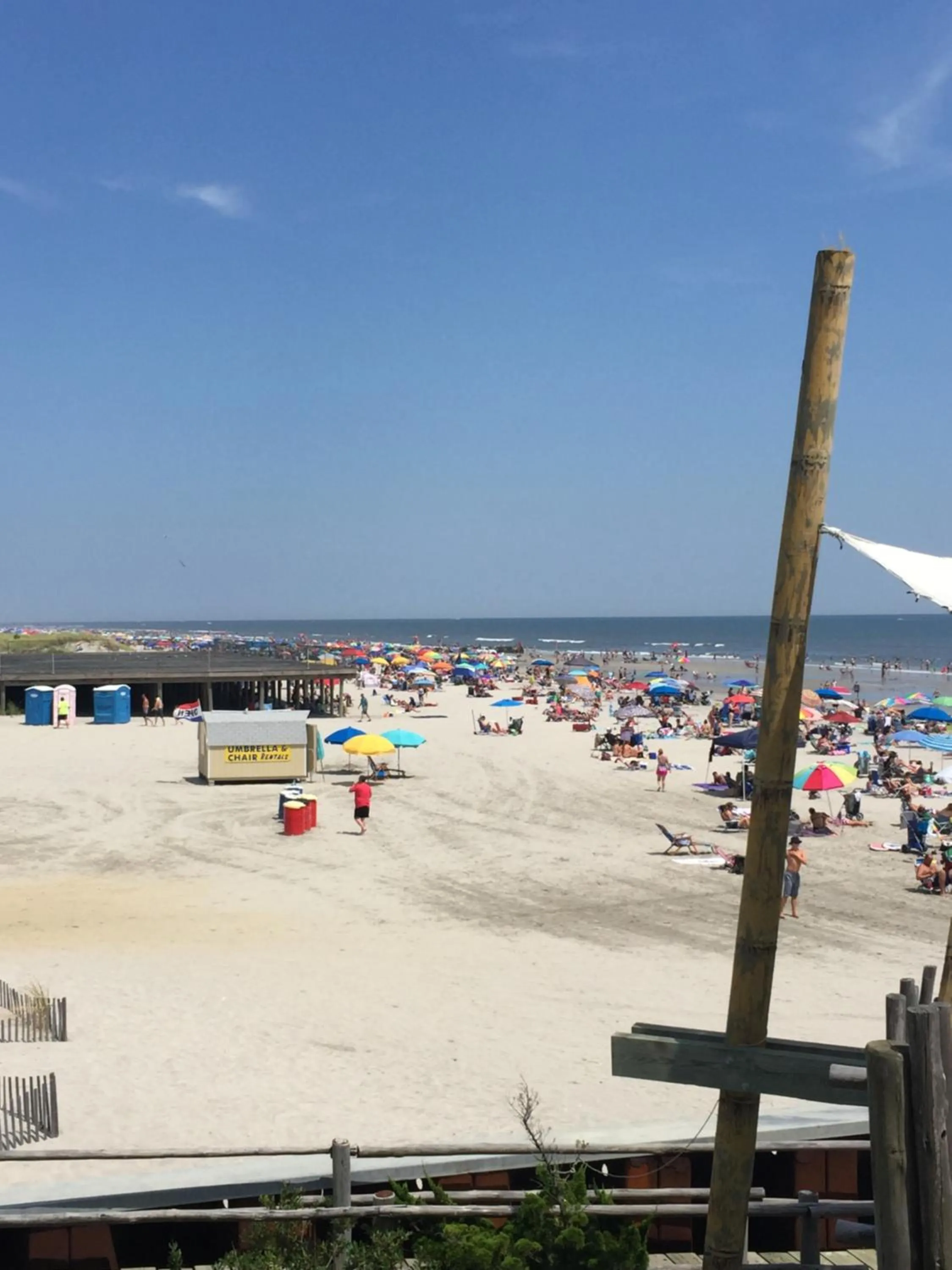 Bird of Paradise Motel