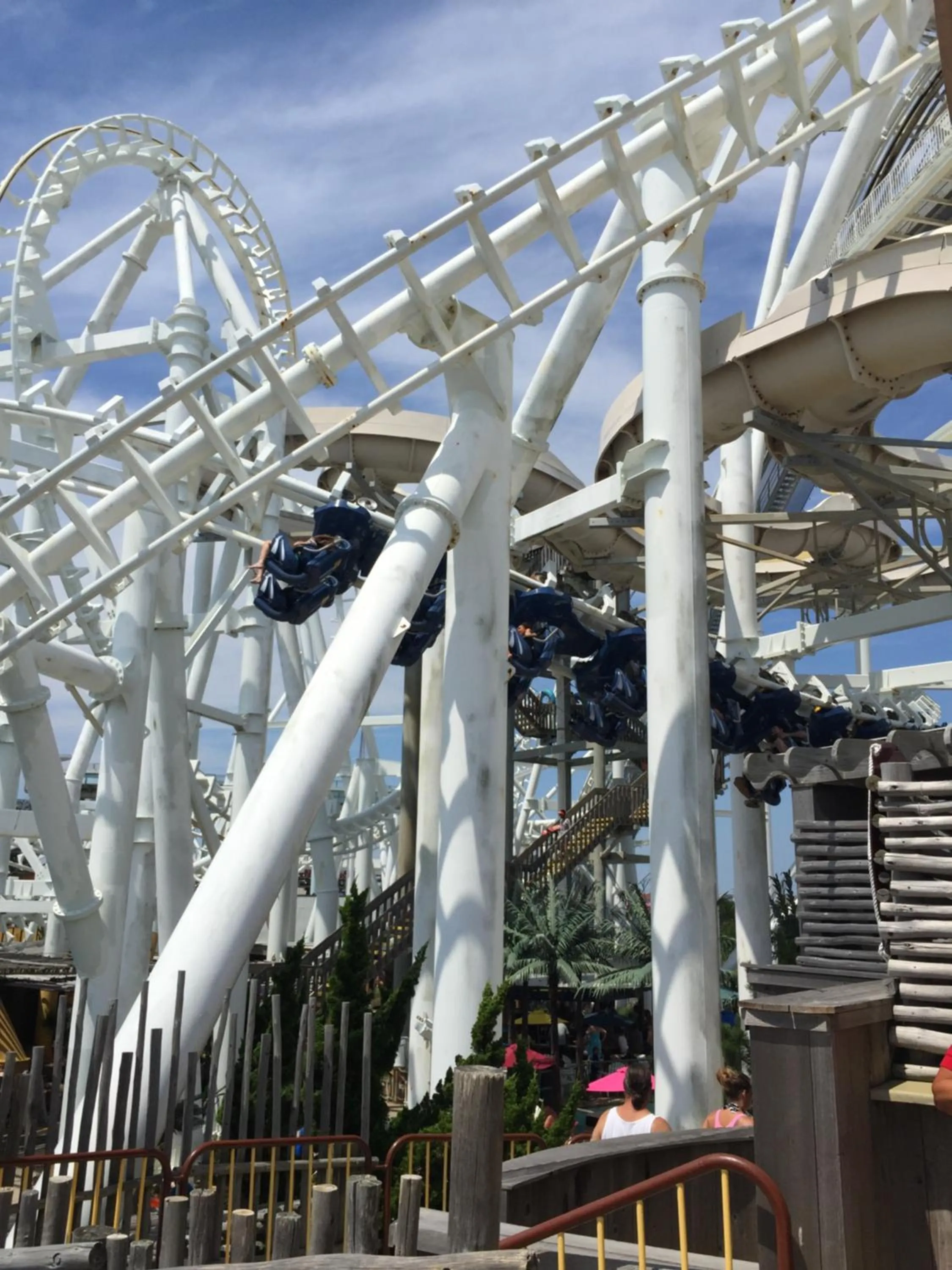 Bird of Paradise Motel