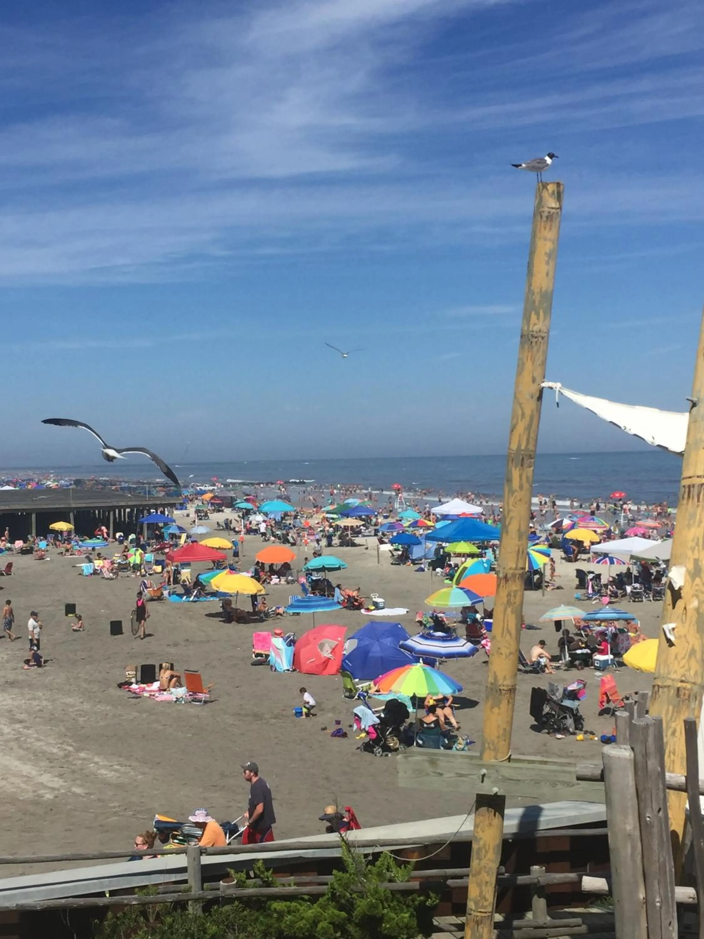 Day in Bird of Paradise Motel