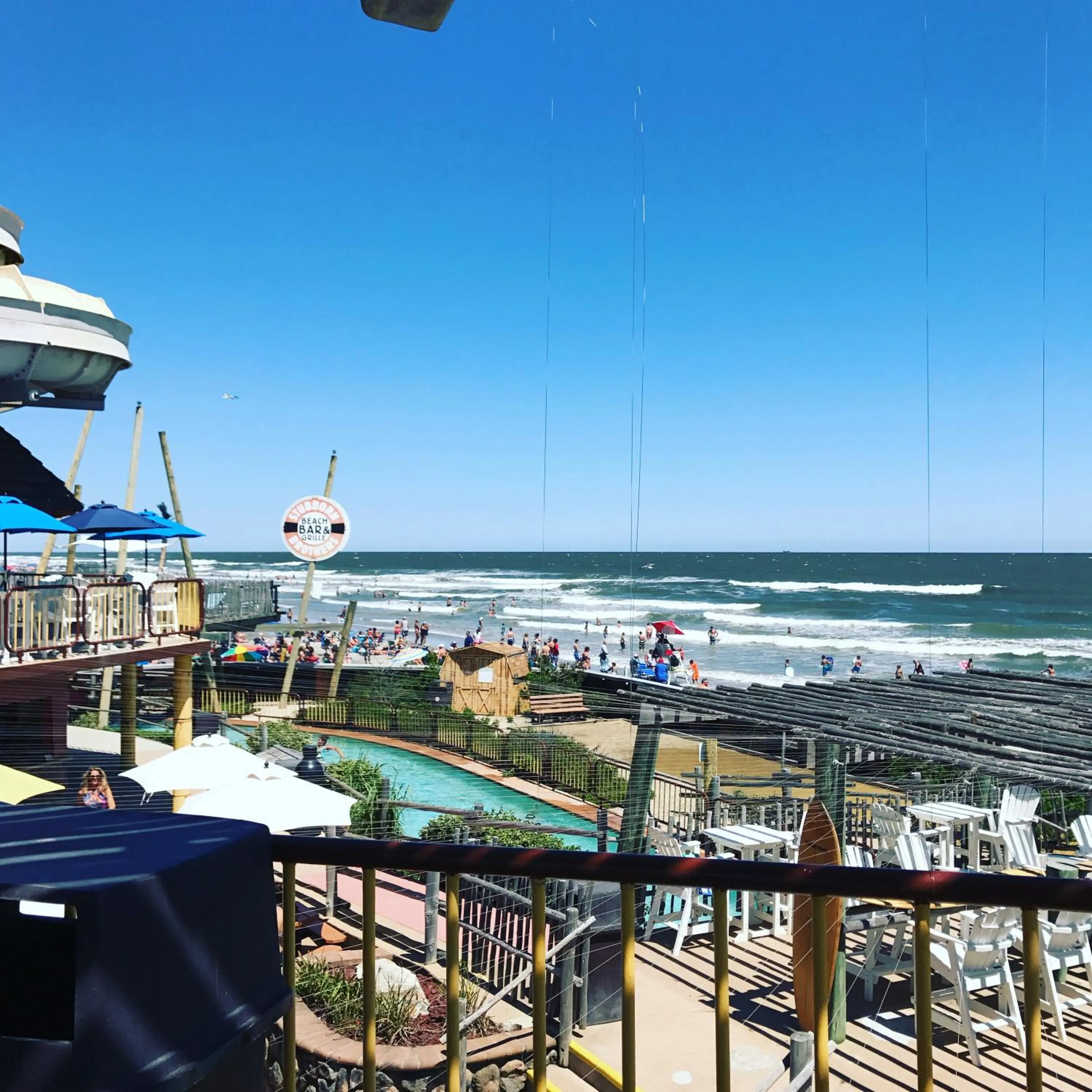 Summer in Bird of Paradise Motel