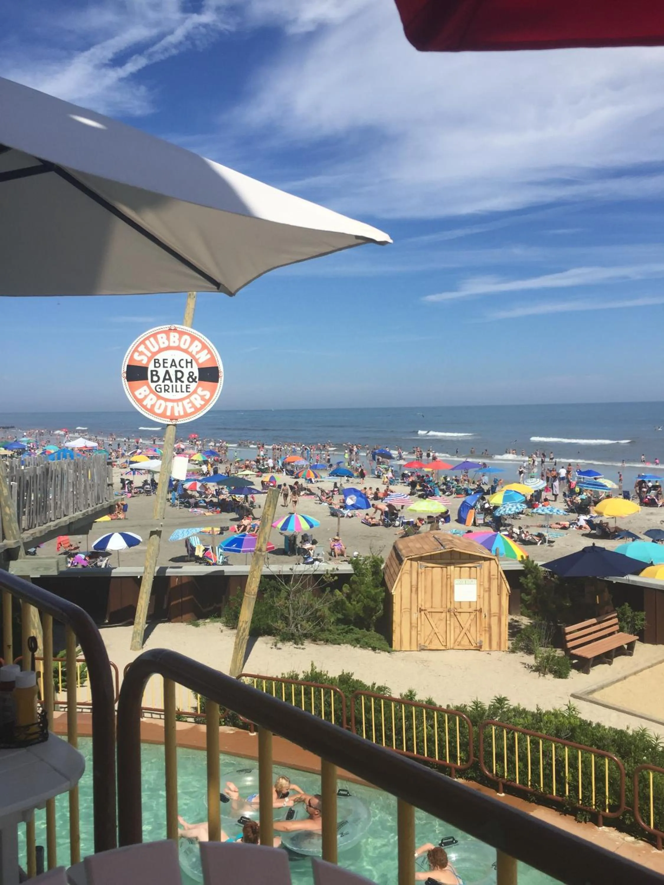 Bird of Paradise Motel