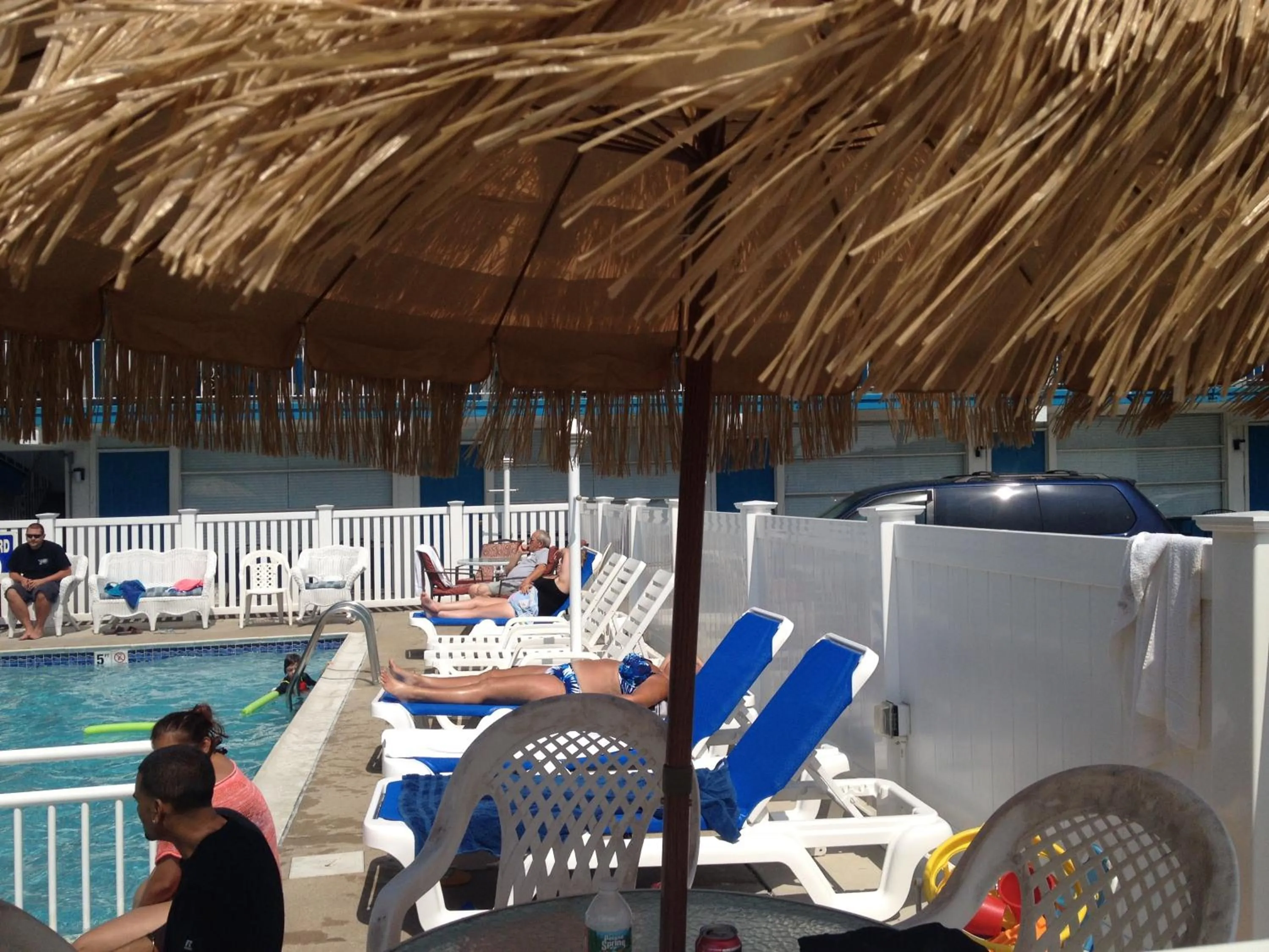 Bird of Paradise Motel