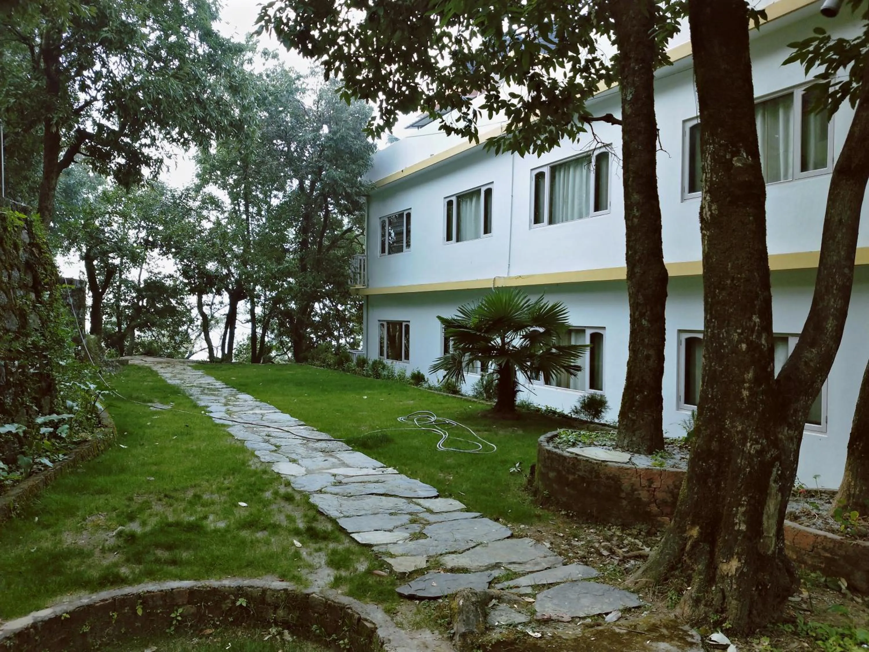 Garden in The Mountain Quail