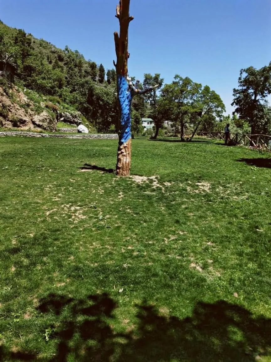 Garden in The Mountain Quail