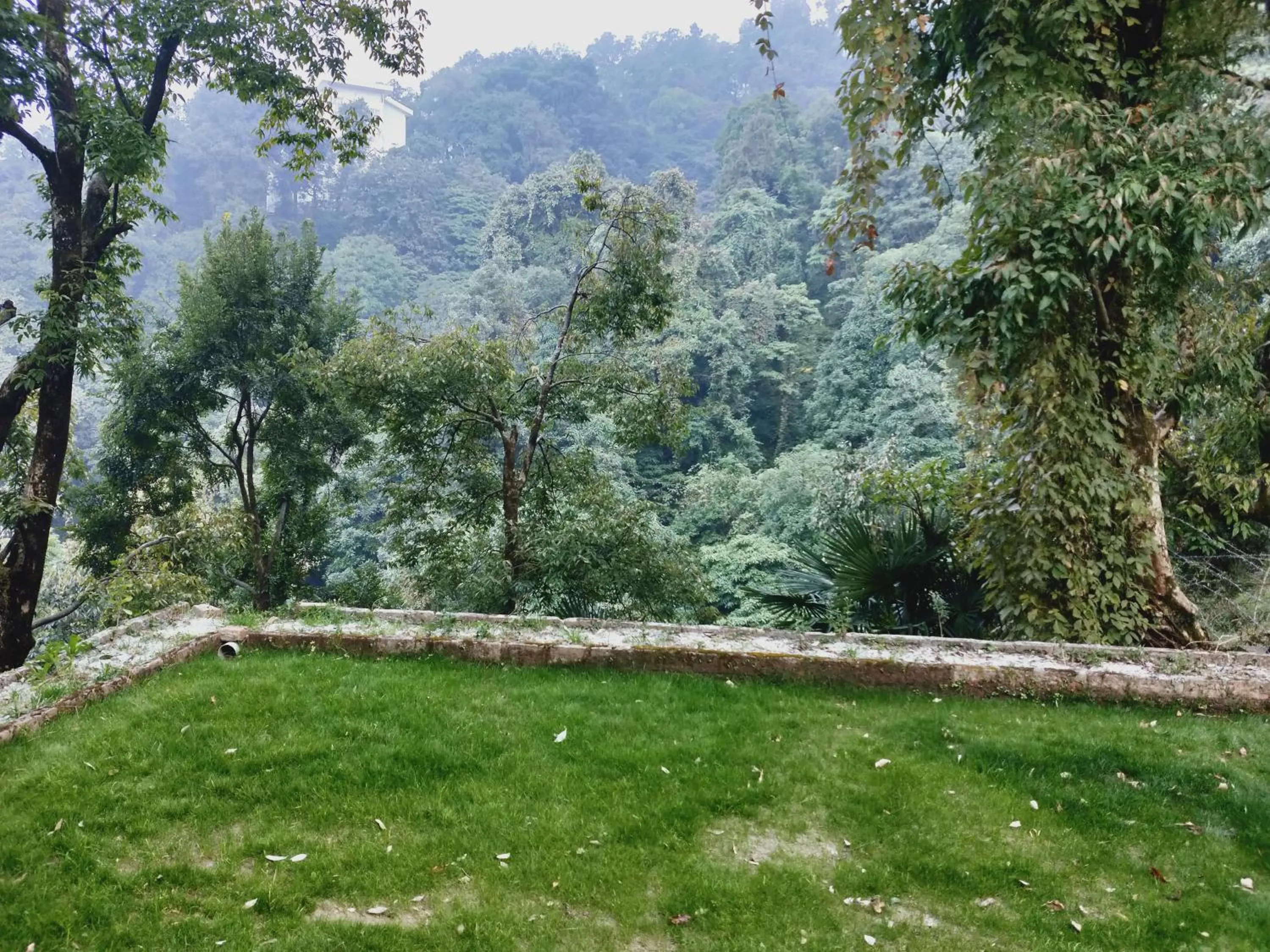 Garden in The Mountain Quail