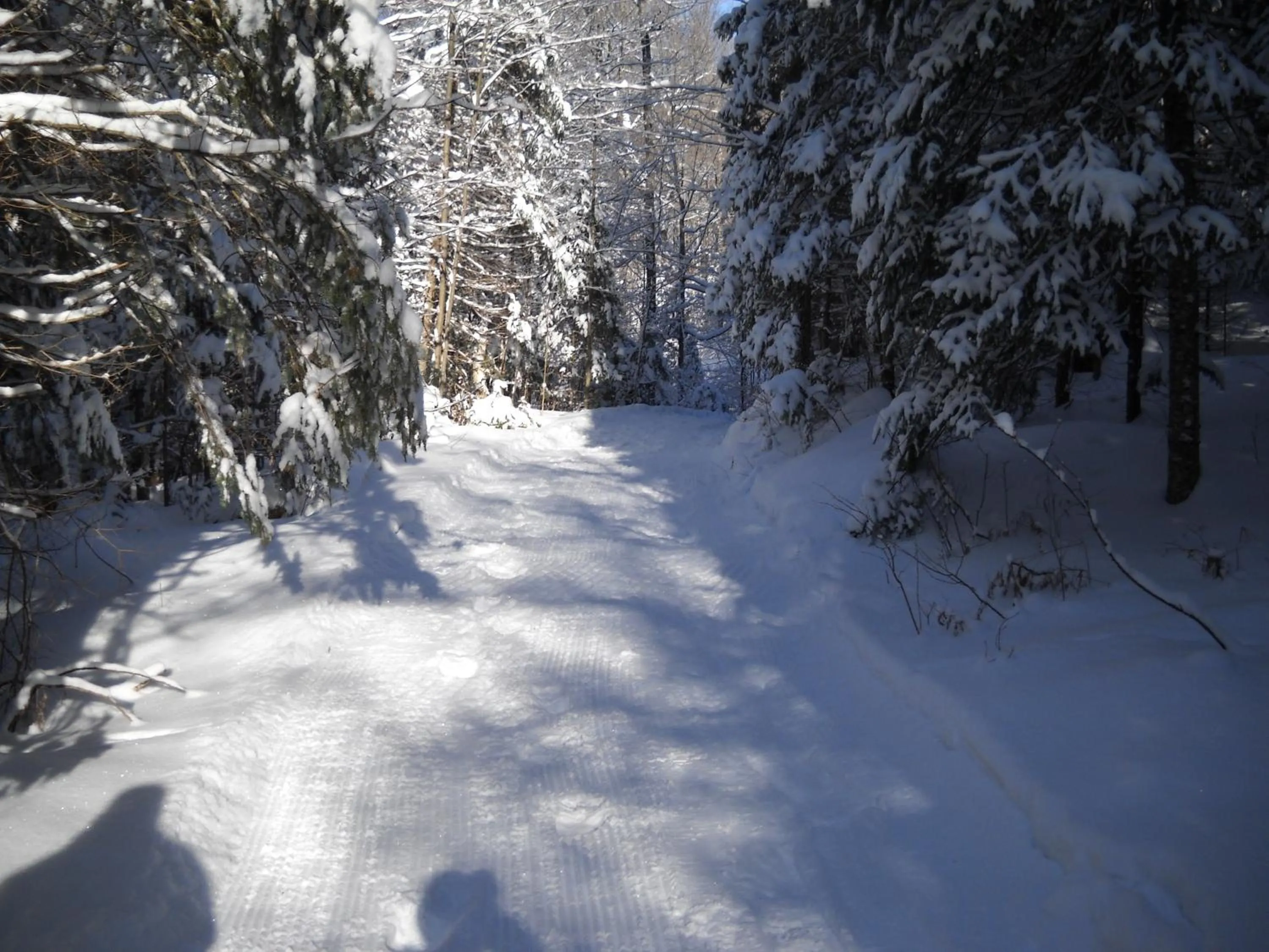 Natural landscape in Lakeview Motel