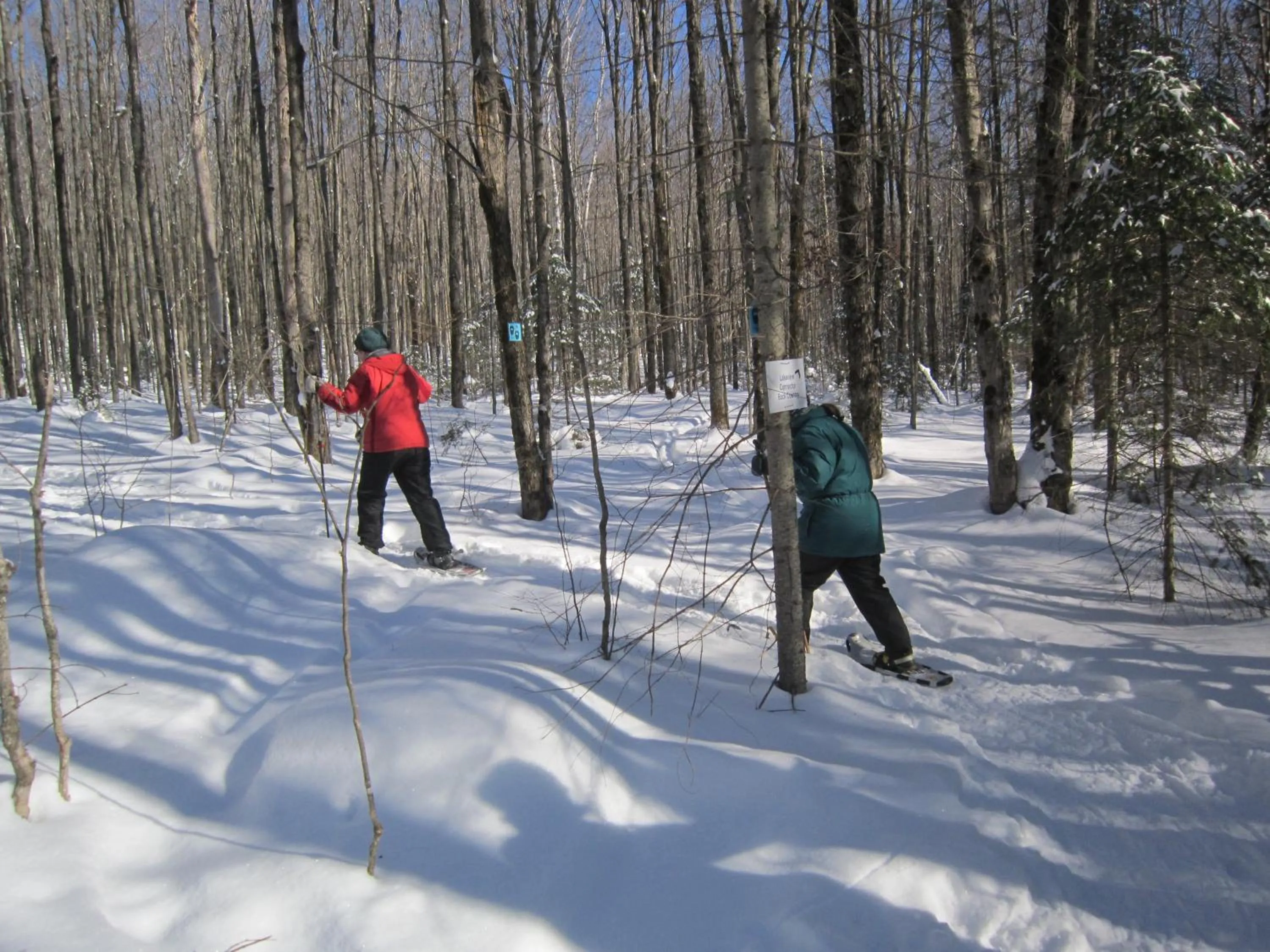 Sports in Lakeview Motel
