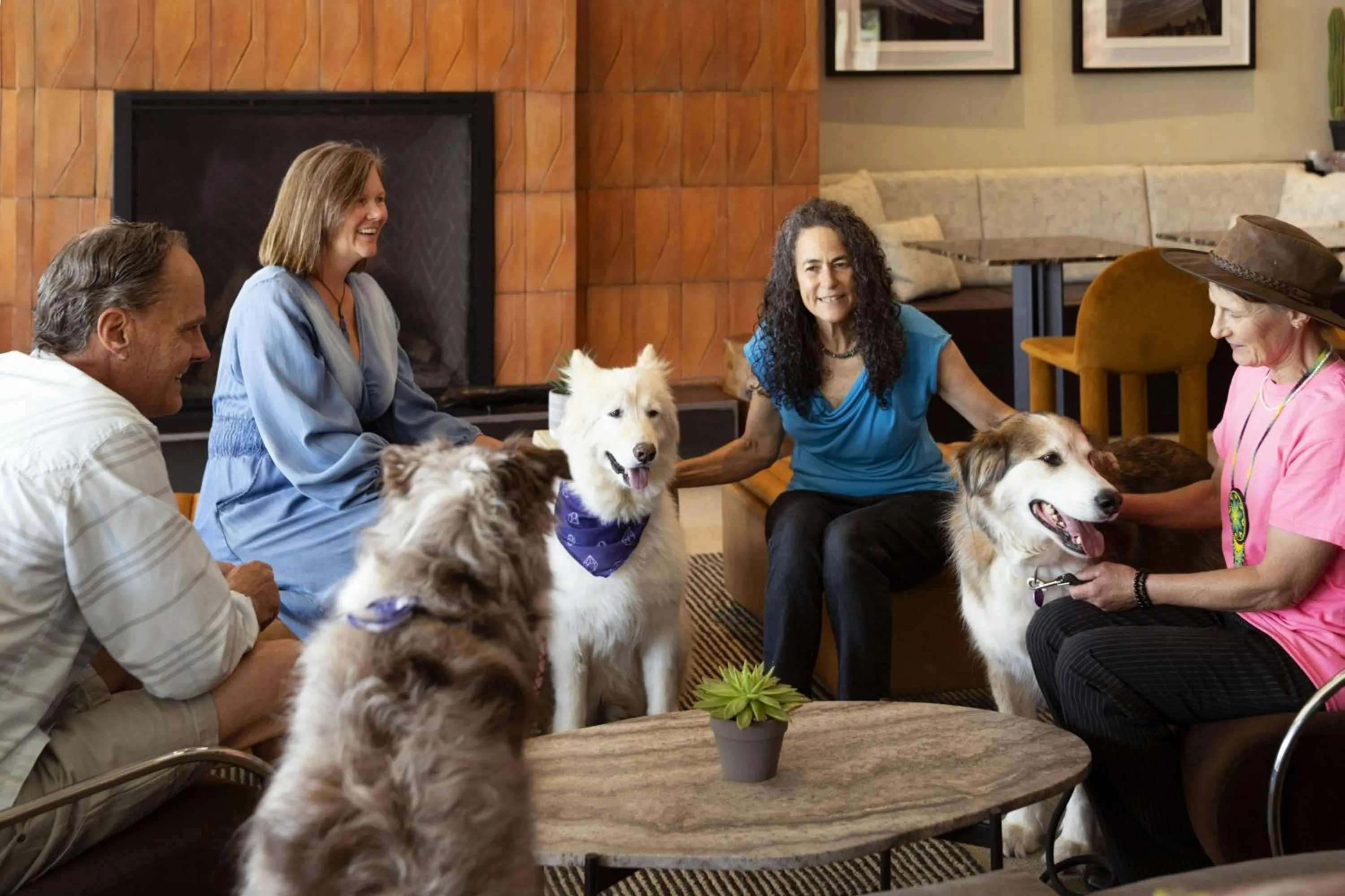 Other in Sky Rock Sedona, a Tribute Portfolio Hotel