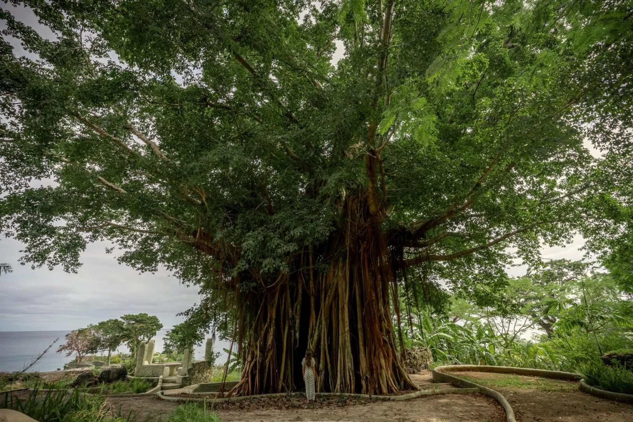 Day in Rockwater Resort