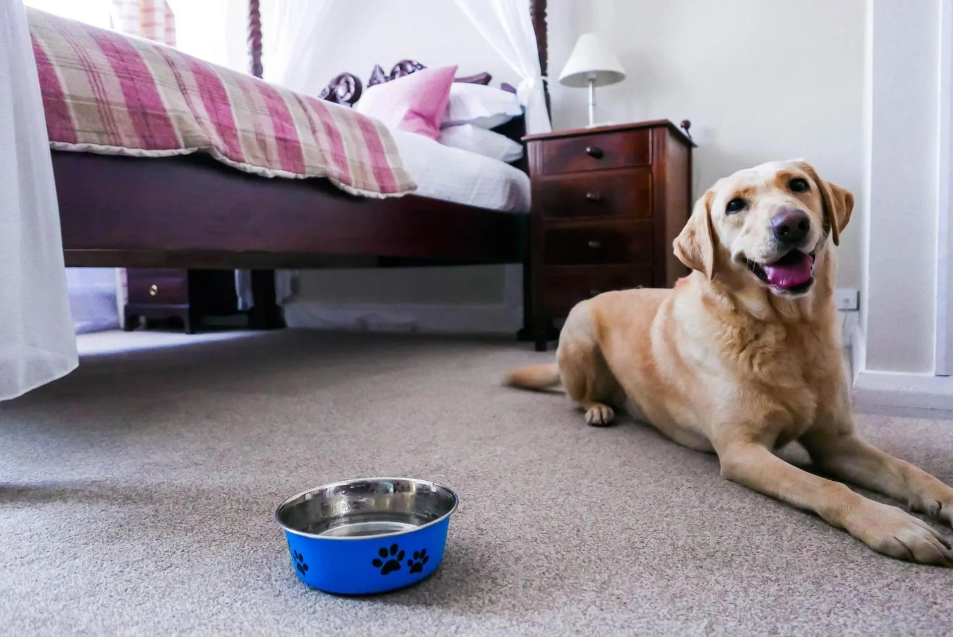 Bed in The White Hart Hotel