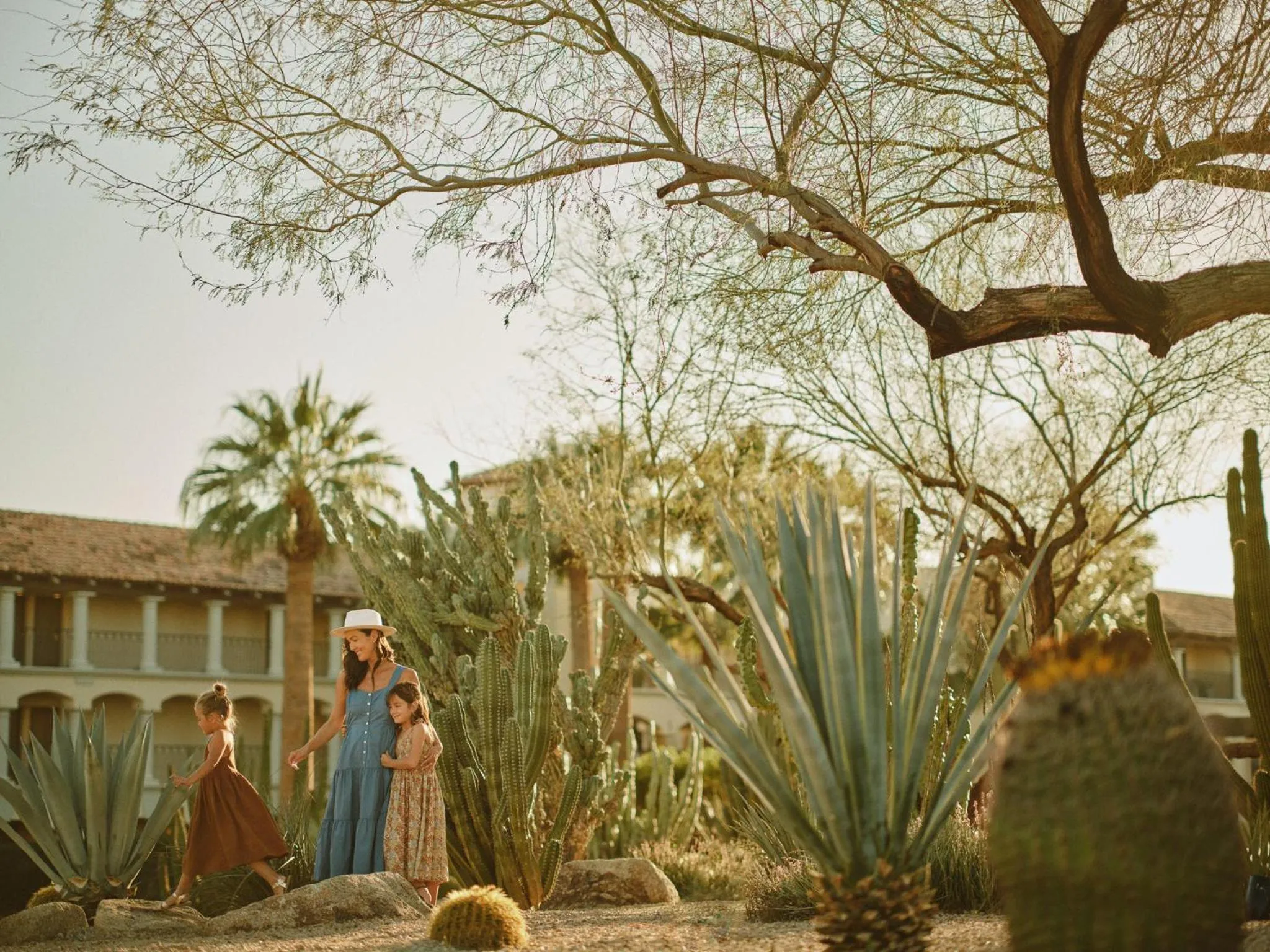 Natural landscape in Fairmont Scottsdale Princess