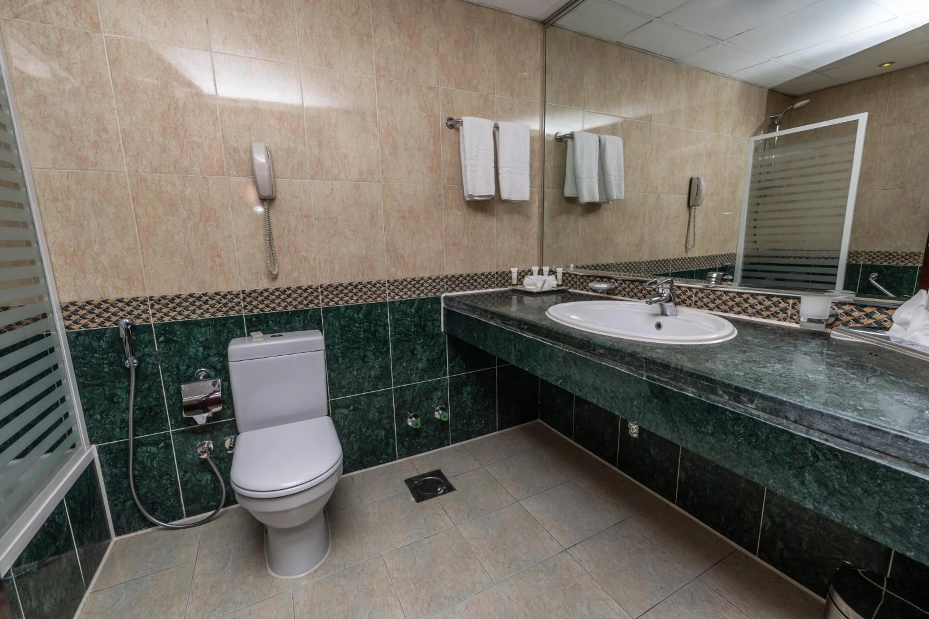 Bathroom in Triumph Plaza Hotel