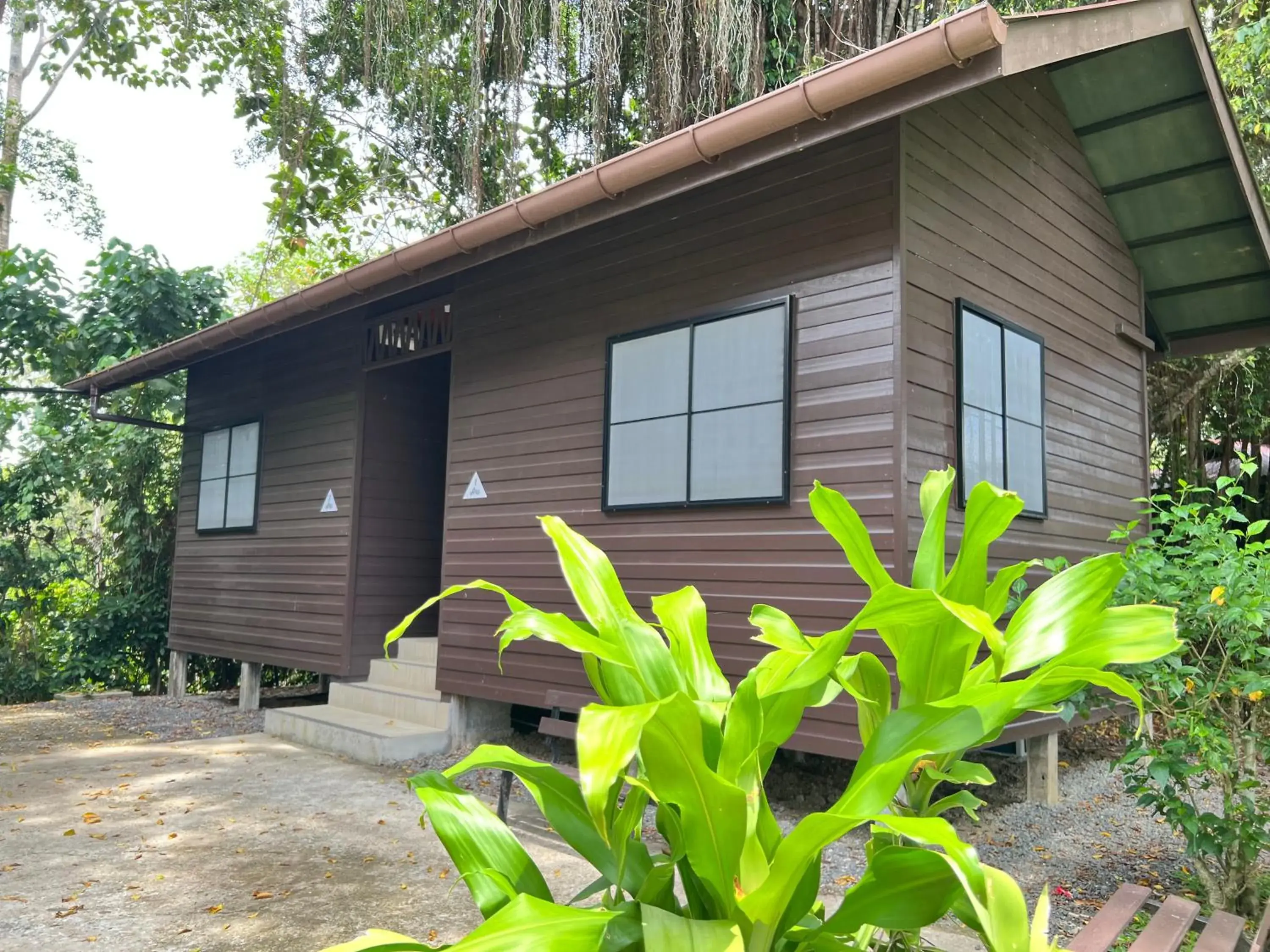 Budget Twin Room in Sepilok Forest Edge Resort Budget Twin Room in Sepilok Forest Edge Resort