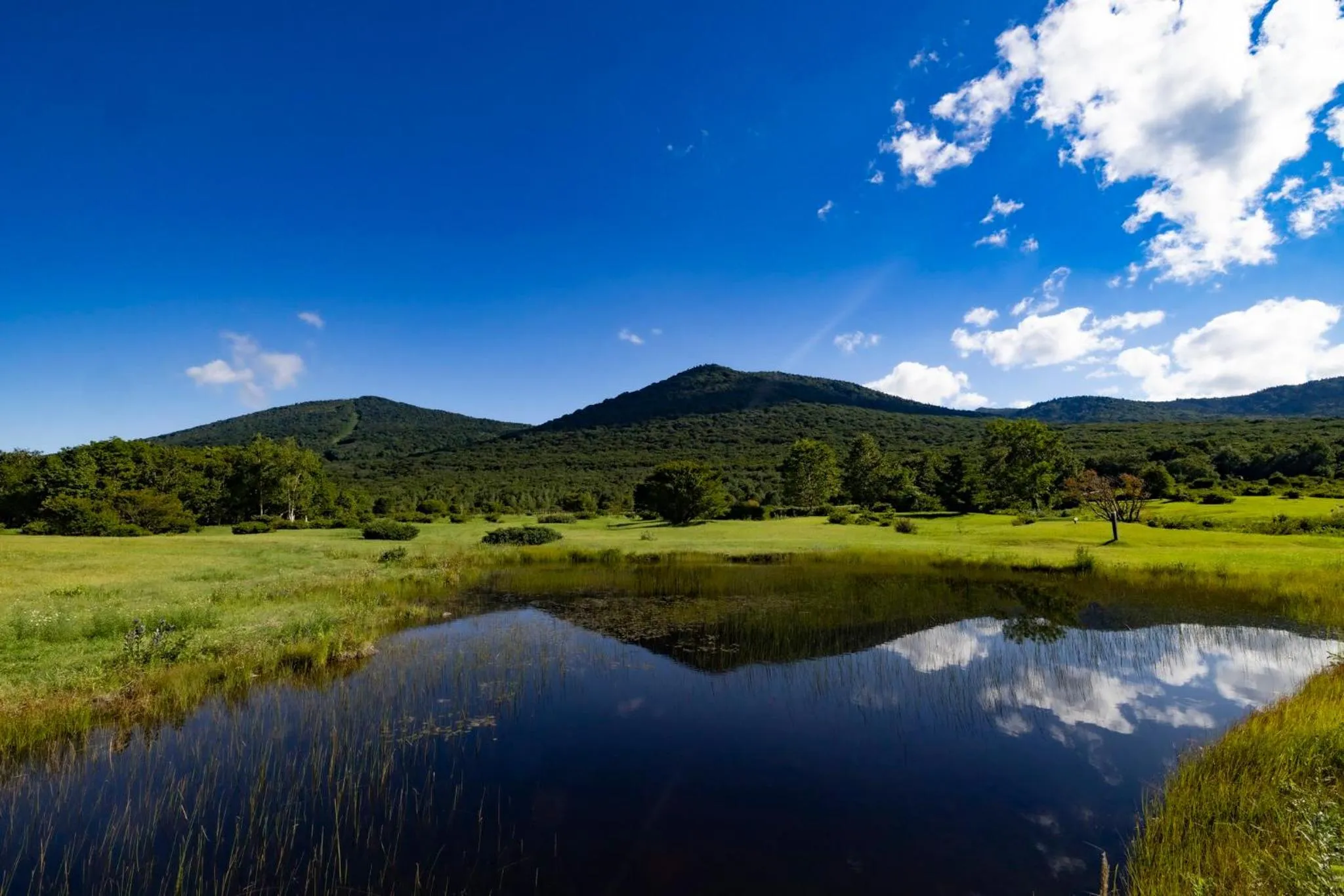 Nearby landmark in ANA Crowne Plaza Resort Appi Kogen by IHG