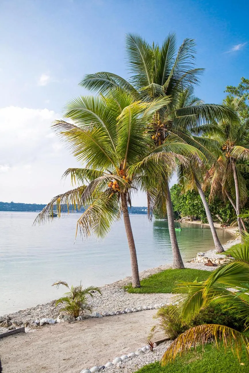 Garden in Aore Island Resort
