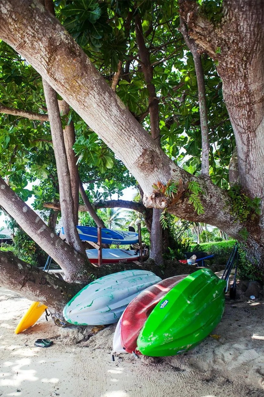 Snorkeling in Aore Island Resort