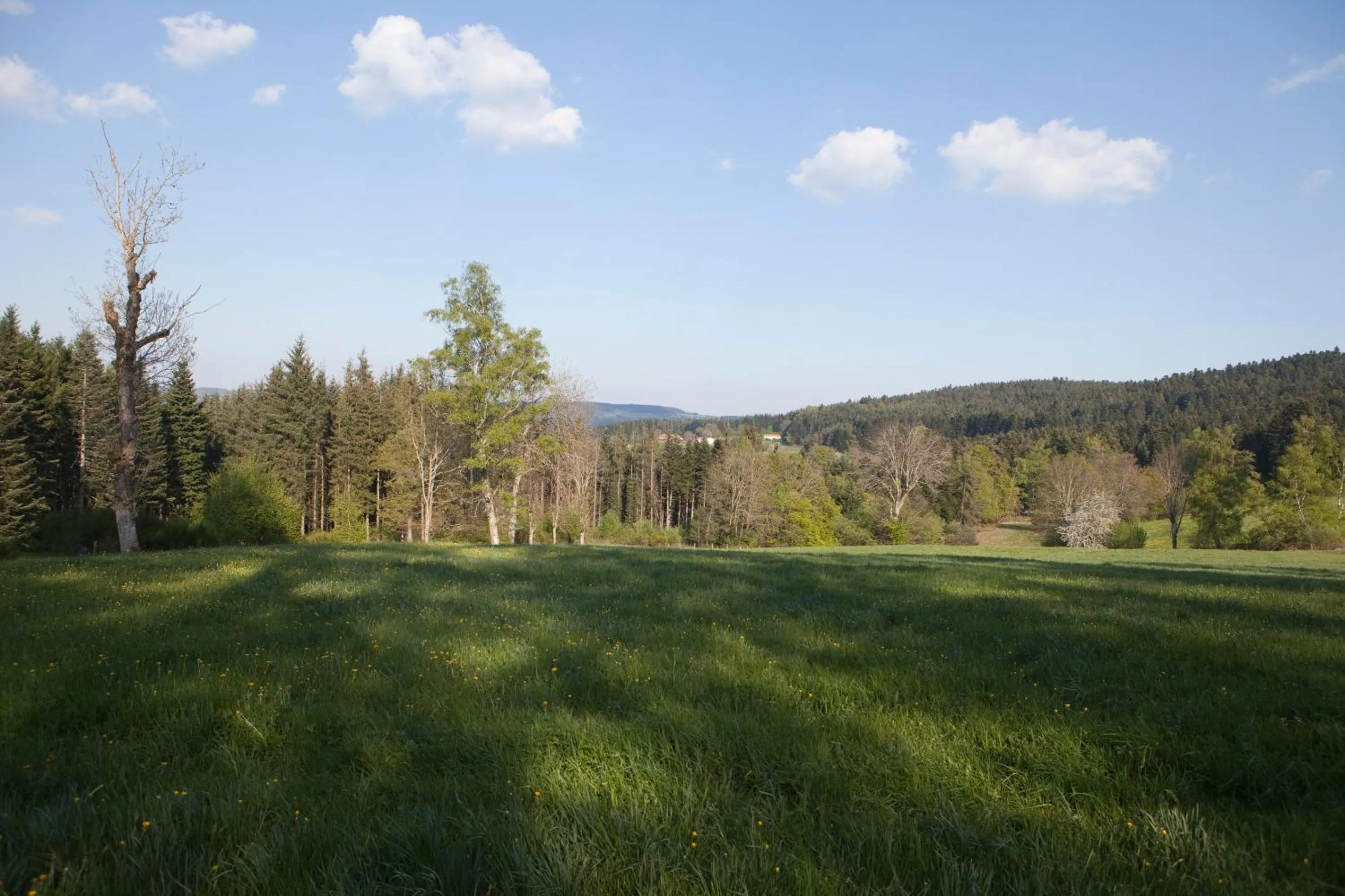Natural landscape in Chambres d'Hôtes La Fougeraie