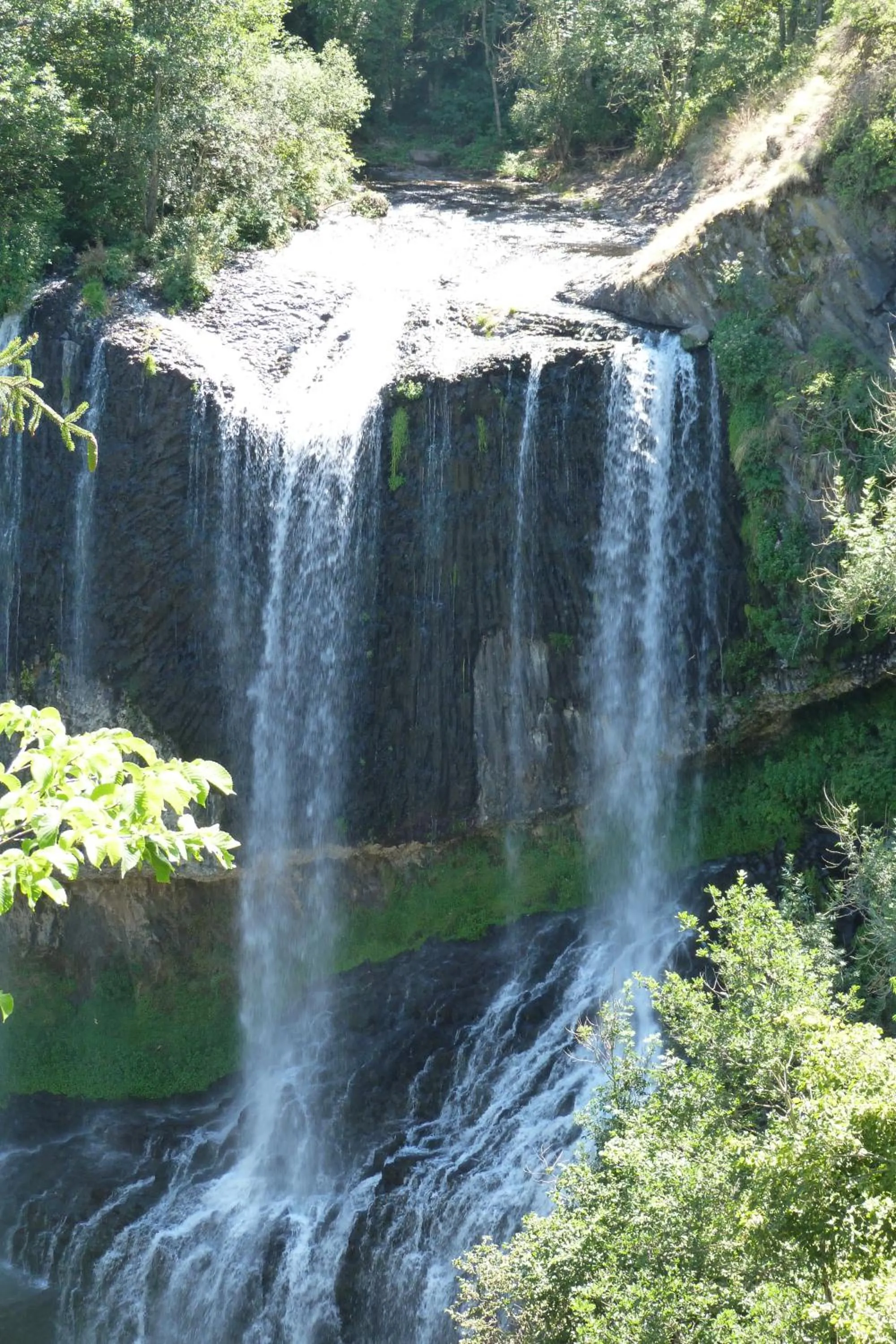 Natural landscape in Chambres d'Hôtes La Fougeraie